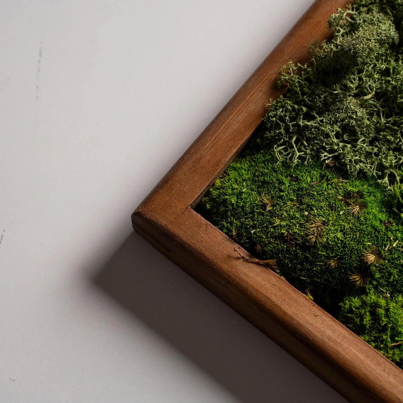 Preserved Moss Wall Art – Natural Wood Greenery Wall Decor, Rustic Home Artwork