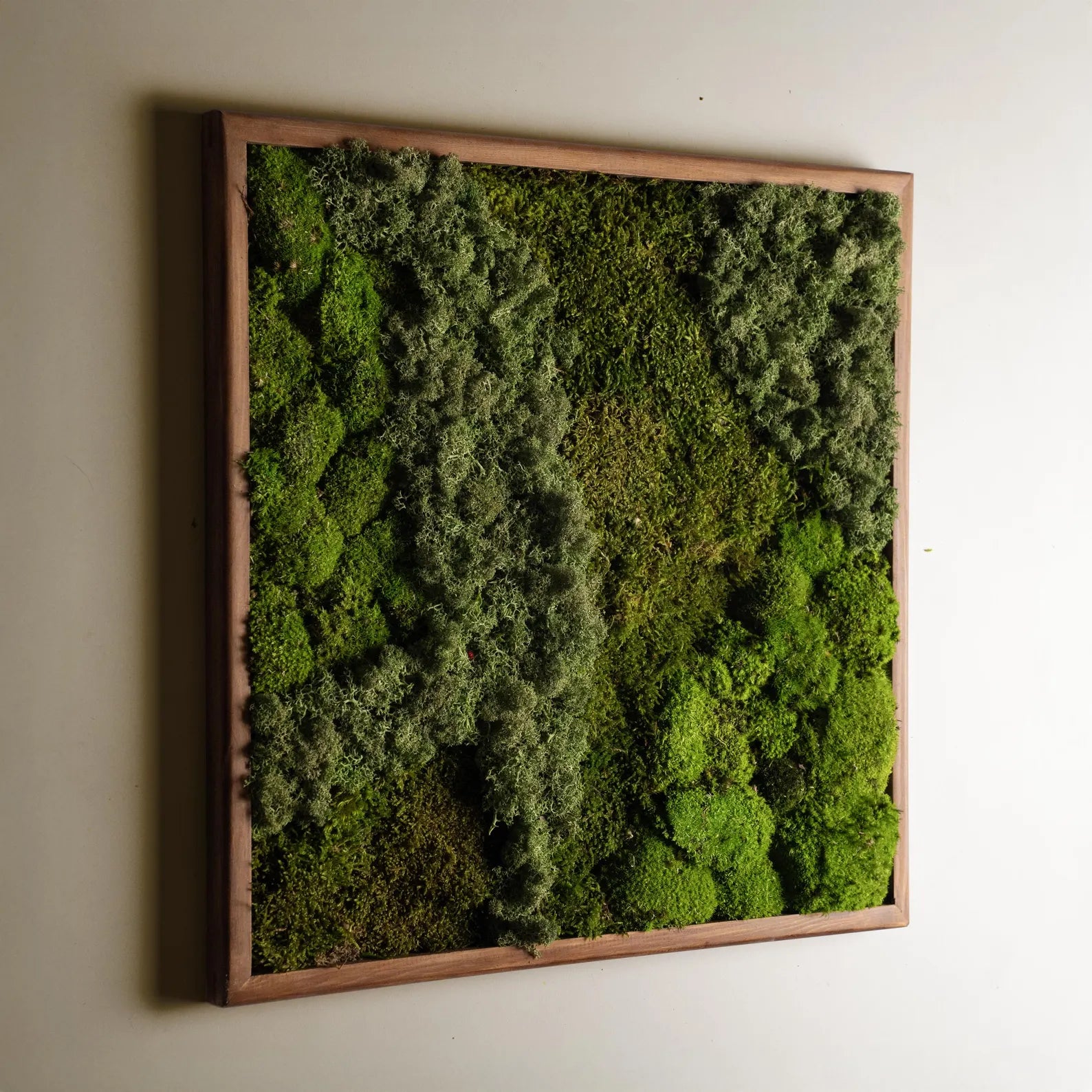 Preserved Moss Wall Art – Natural Wood Greenery Wall Decor, Rustic Home Artwork