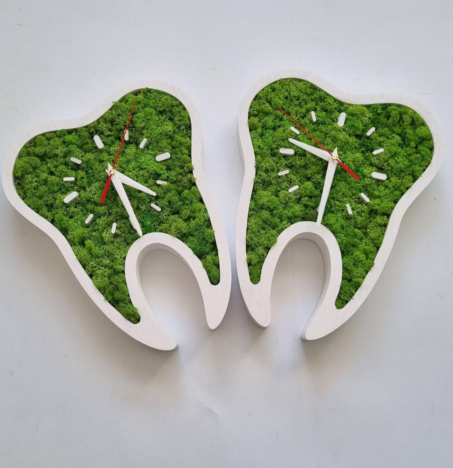 Tooth Shaped Moss Clock – Eco Friendly Wall Art for Dental Office Decor