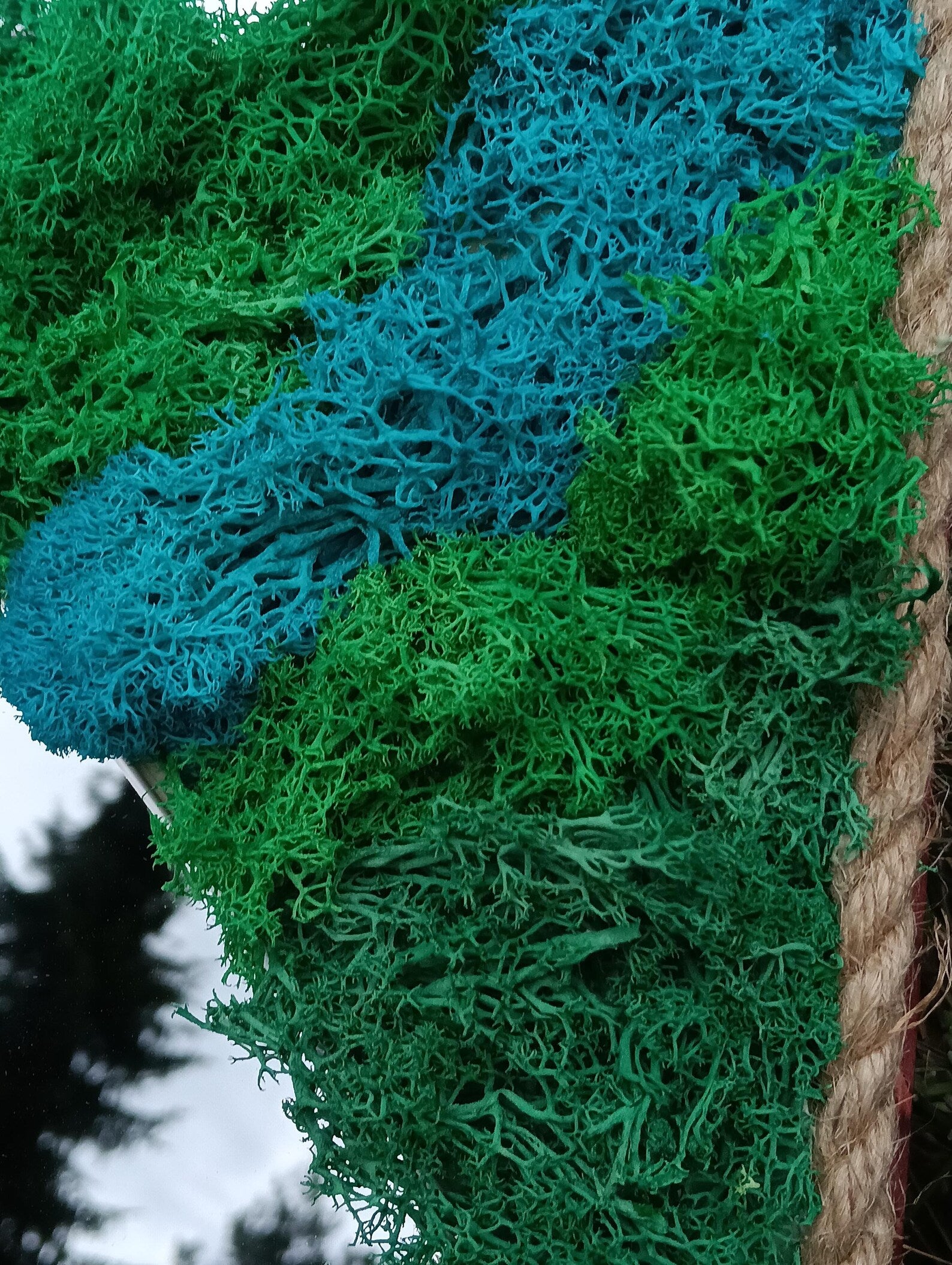 Natural Mirror with Preserved Icelandic Moss – 3D Eco-Friendly Wall Art, No Maintenance Required