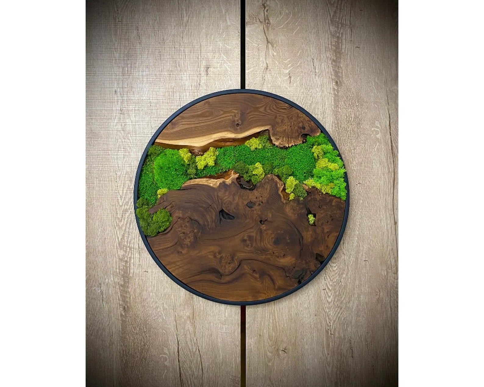 Olive Wood & Preserved Moss Art: Unique Wall Hanging Decor