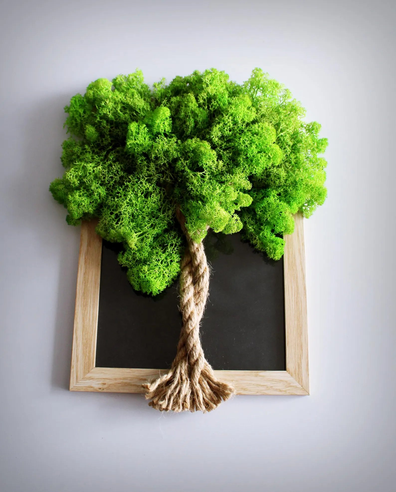 Tree of Life Moss Wall Art – Large Wall Decor with Stabilized Reindeer Moss for Home or Office