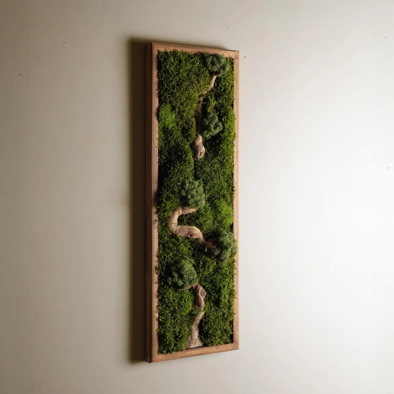 Bonsai Wood and Moss Wall Décor – Preserved Moss Botanical Art, Unique Wall Hanging & Home Gift