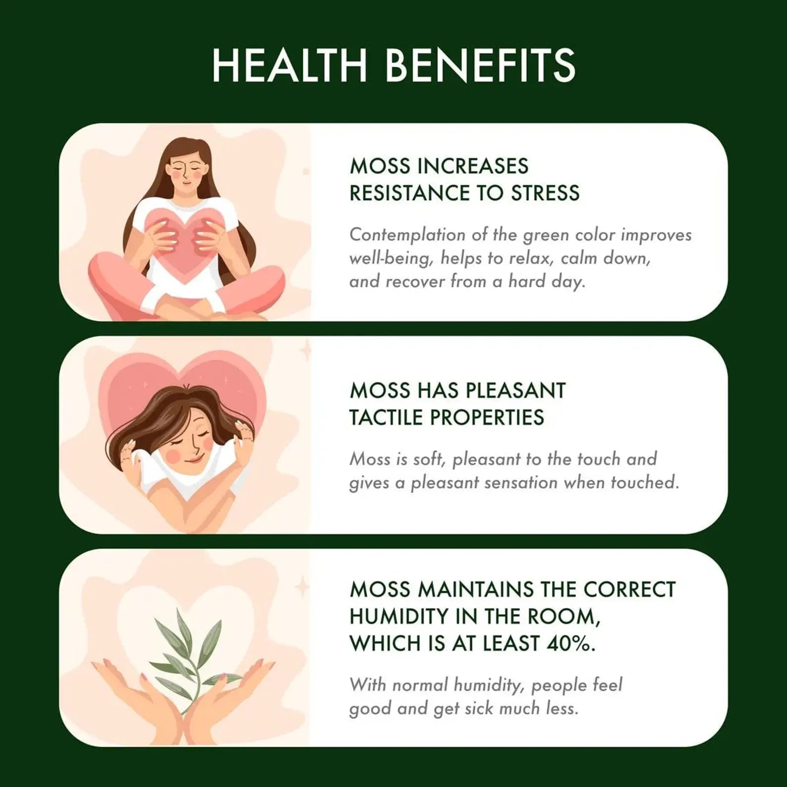 World Map Moss Wall Art – Extra Large Preserved Moss Home Decor