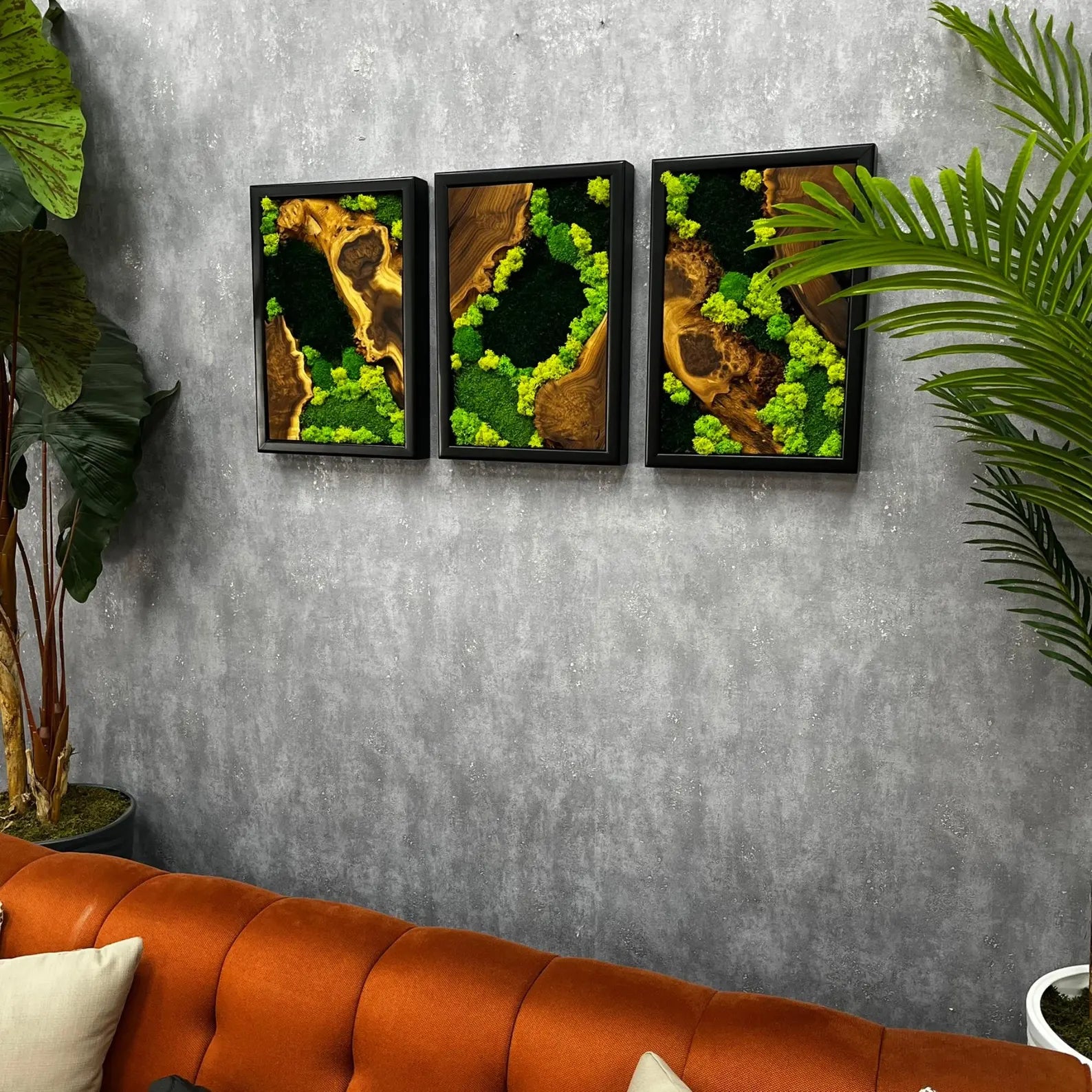 3-Piece Moss Wall Art Set | Handmade Olive & Silverberry Wood Decor | Live Edge Preserved Moss Artwork