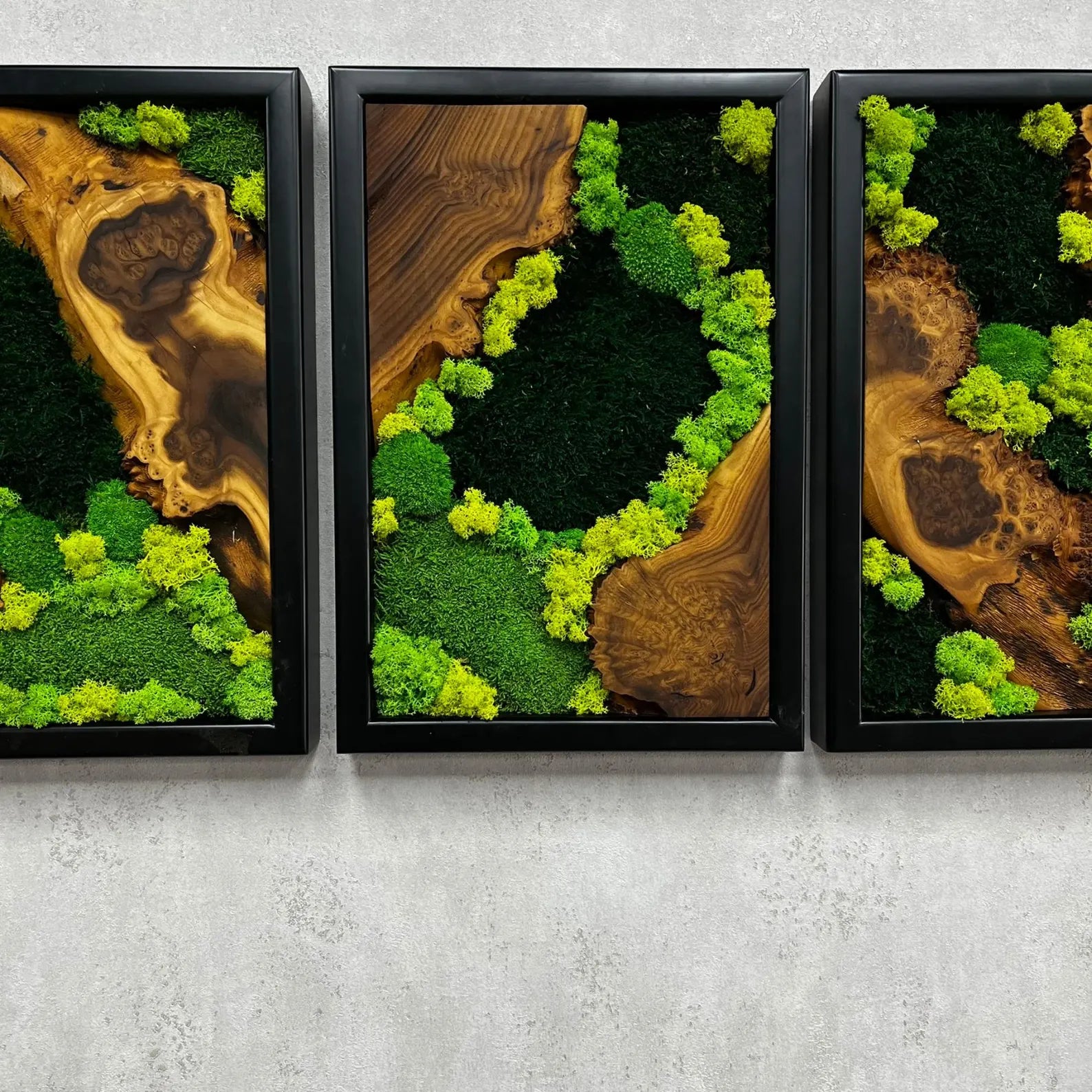 3-Piece Moss Wall Art Set | Handmade Olive & Silverberry Wood Decor | Live Edge Preserved Moss Artwork