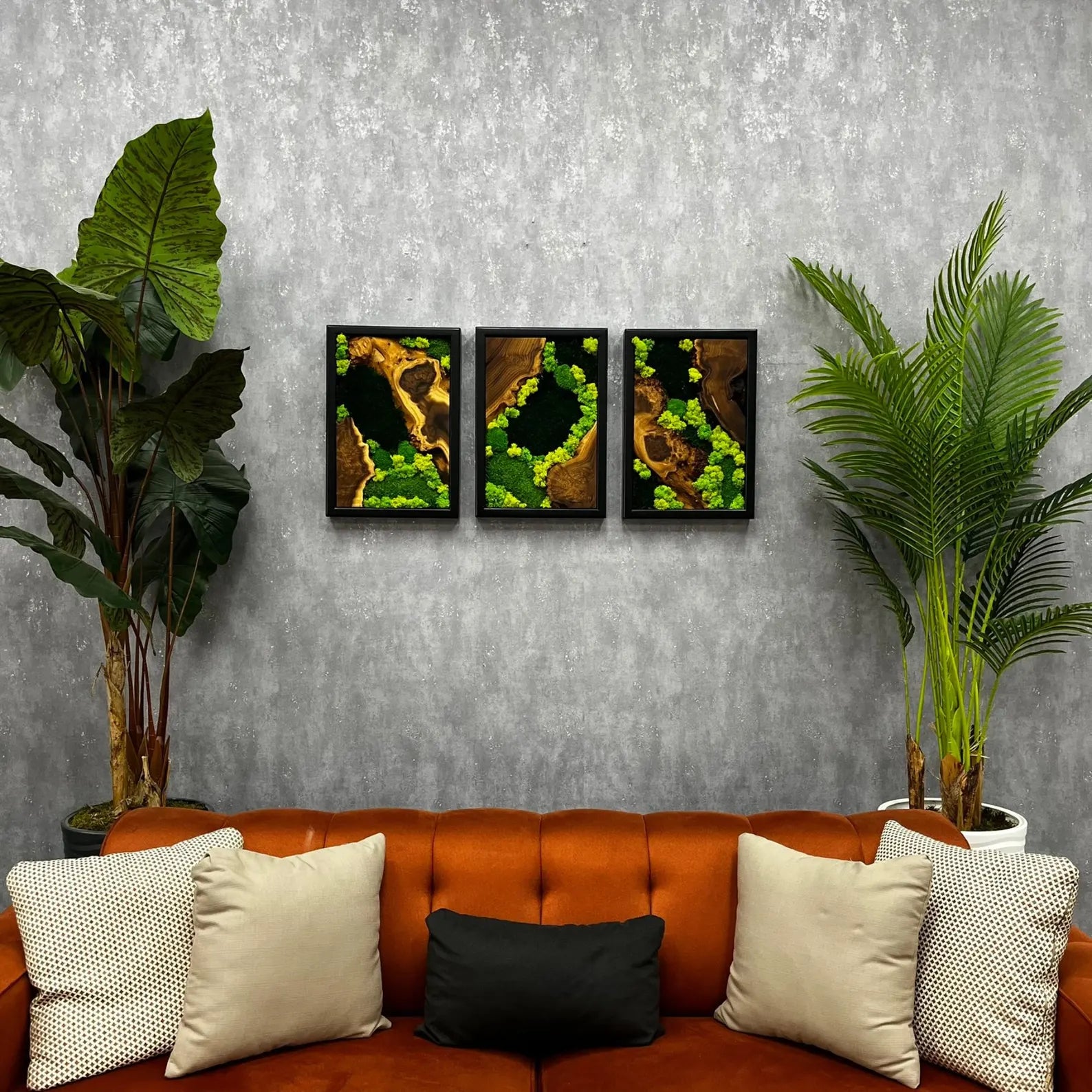 3-Piece Moss Wall Art Set | Handmade Olive & Silverberry Wood Decor | Live Edge Preserved Moss Artwork