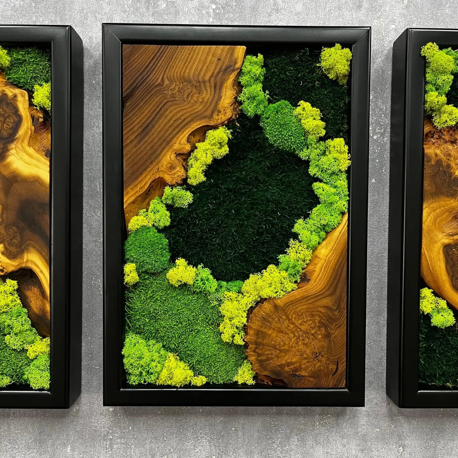 3-Piece Moss Wall Art Set | Handmade Olive & Silverberry Wood Decor | Live Edge Preserved Moss Artwork