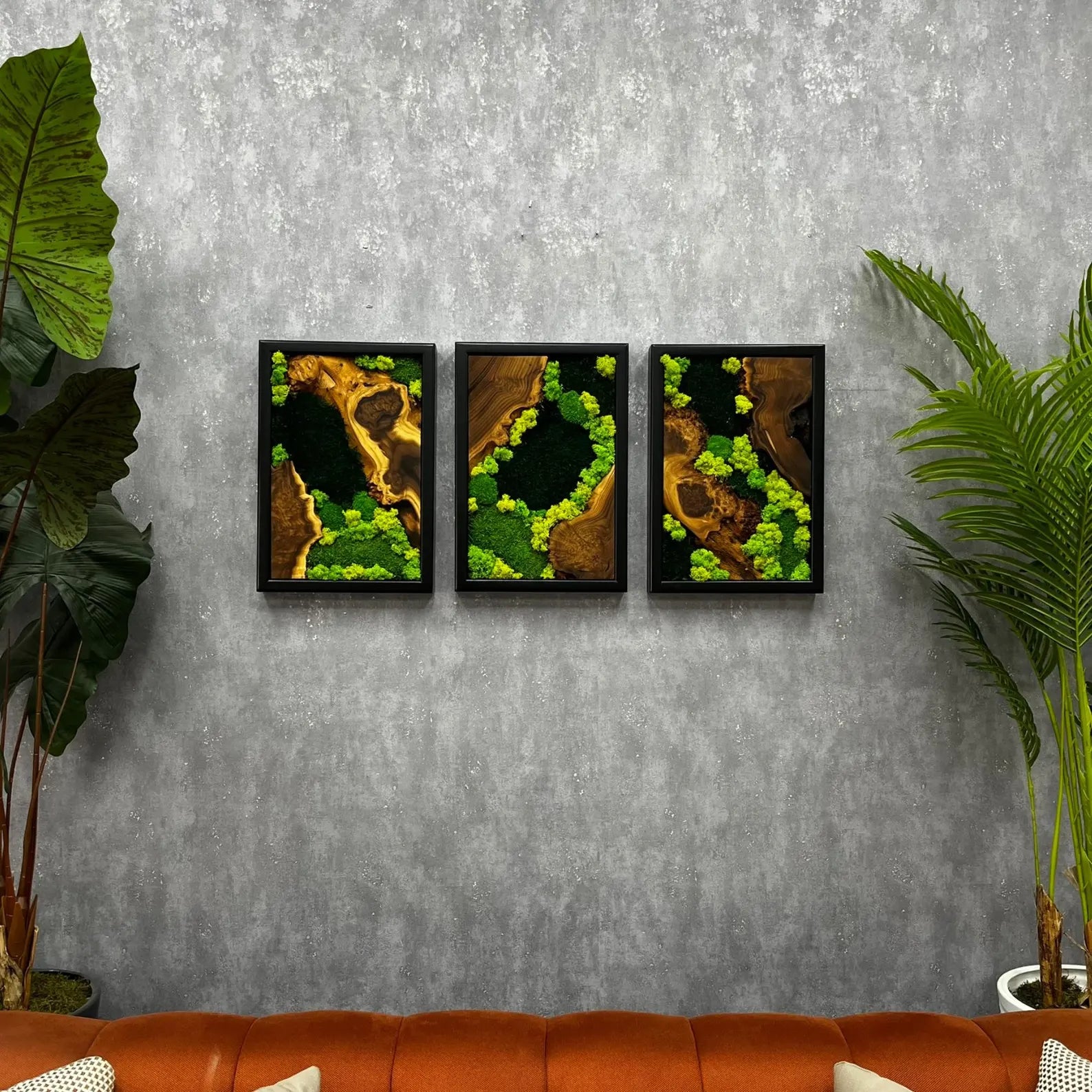 3-Piece Moss Wall Art Set | Handmade Olive & Silverberry Wood Decor | Live Edge Preserved Moss Artwork