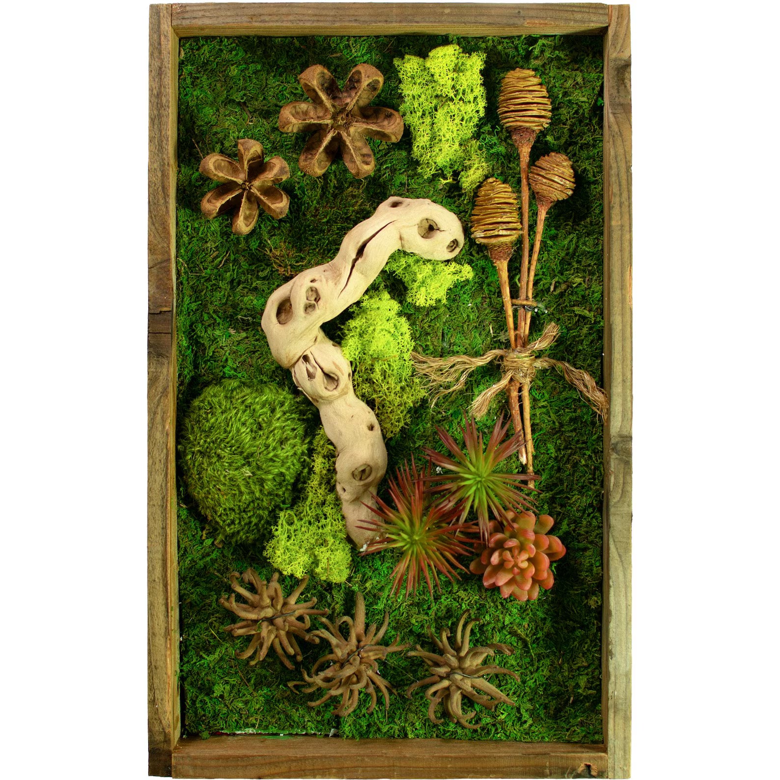 Succulent & Moss Wall Hanging – California Handmade Frame Decor 21x13in