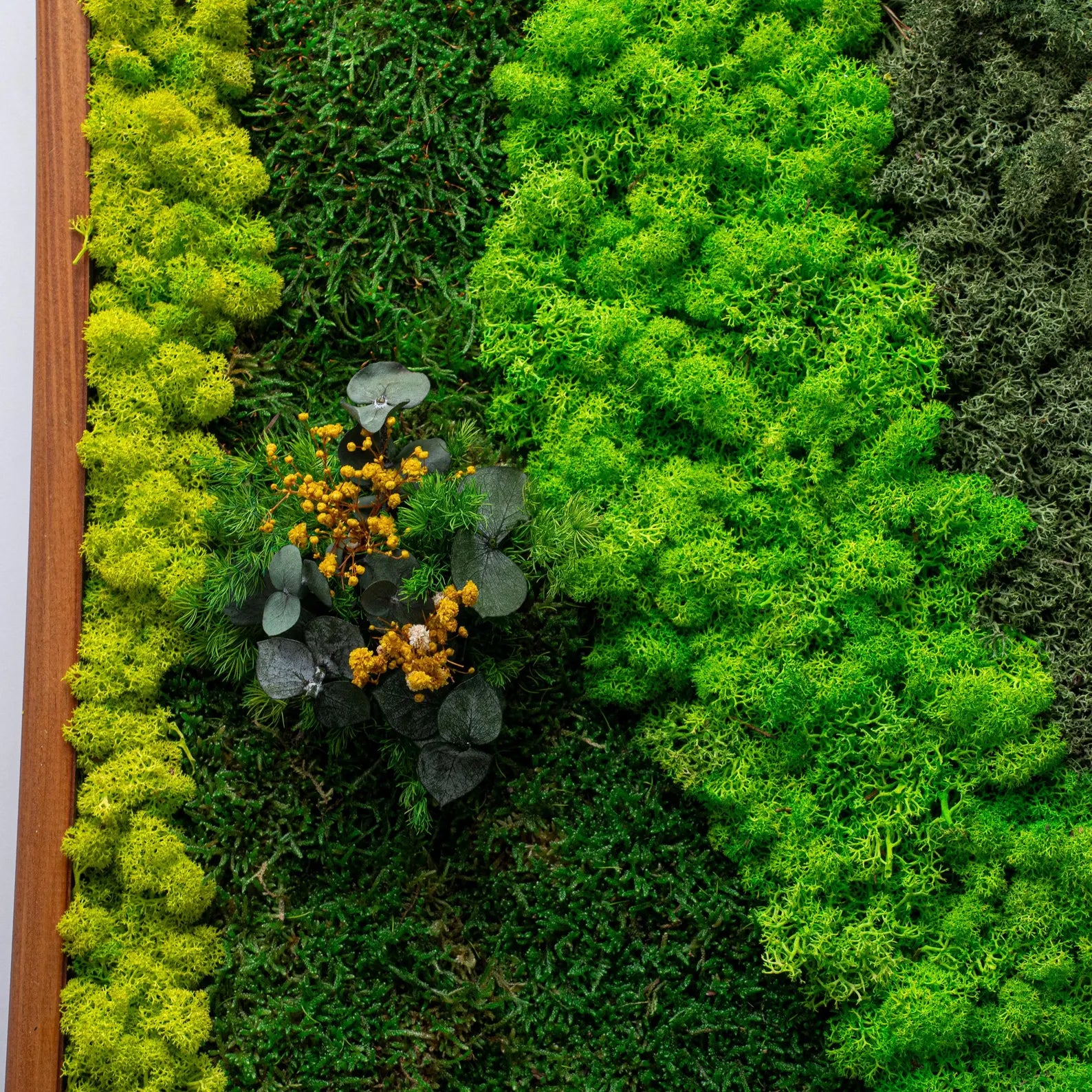 Preserved Moss Wall Art – Large Green Wall Decor for Modern Living Room & Home