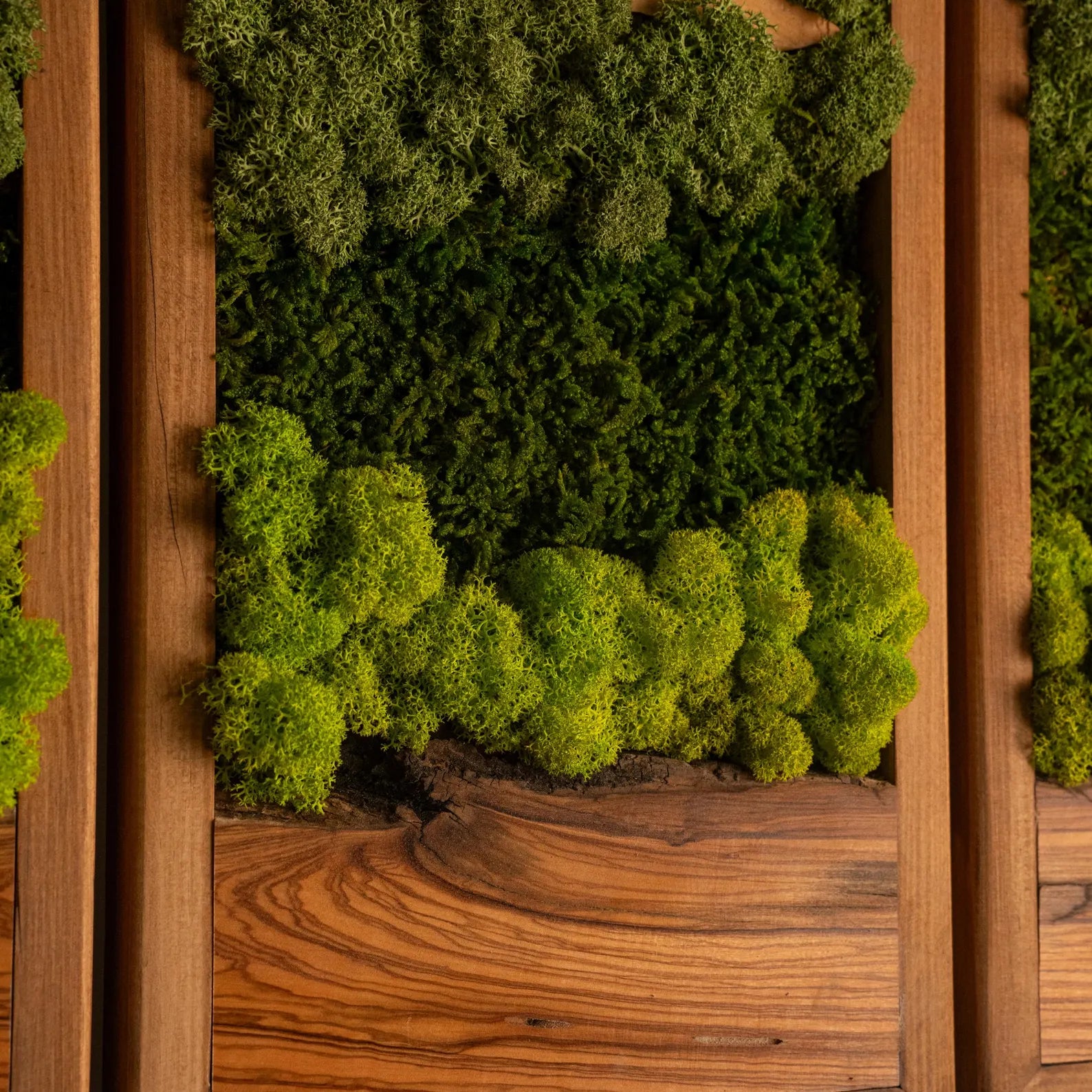 Olive Wood and Moss Wall Art – Rectangular Frame Panel for Farmhouse Décor, Entryway & Unique Gifts