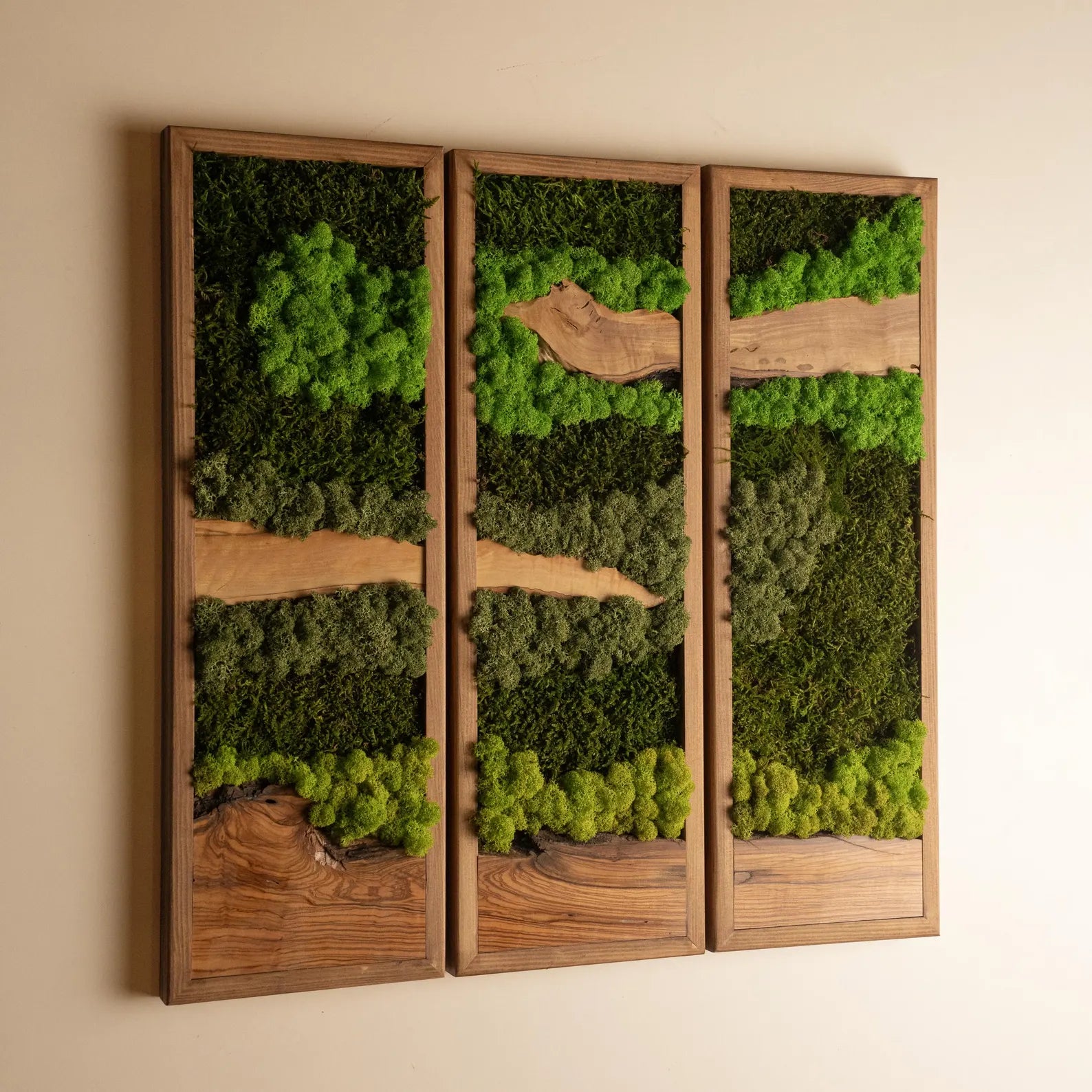Olive Wood and Moss Wall Art – Rectangular Frame Panel for Farmhouse Décor, Entryway & Unique Gifts