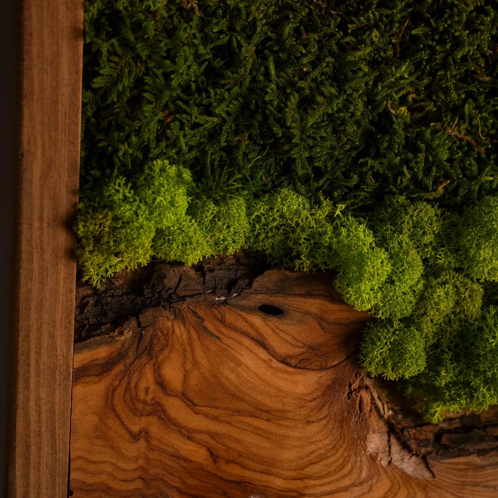 Olive Wood and Moss Wall Art – Rectangular Frame Panel for Farmhouse Décor, Entryway & Unique Gifts