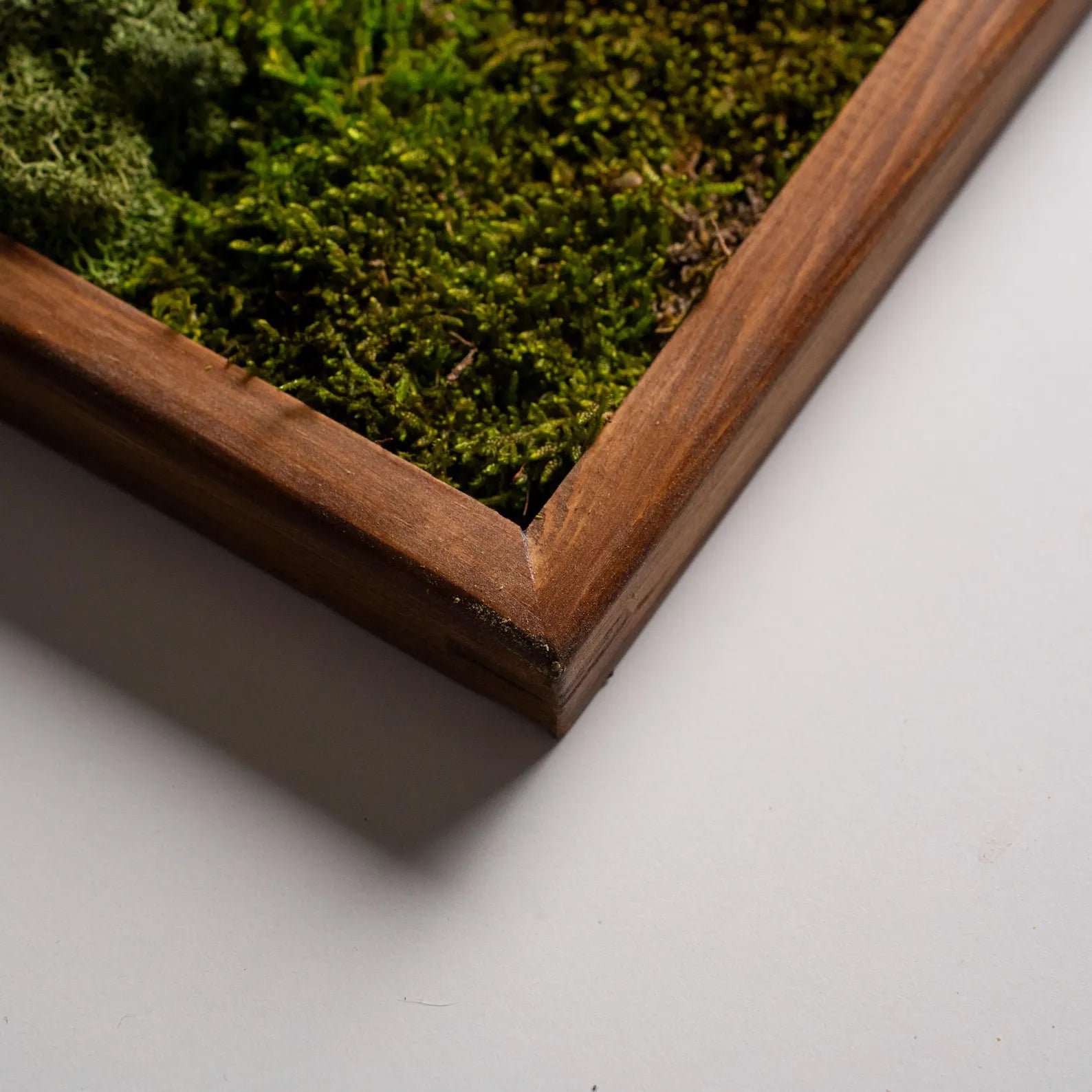 Preserved Moss Wall Art – Natural Wood Greenery Wall Decor, Rustic Home Artwork