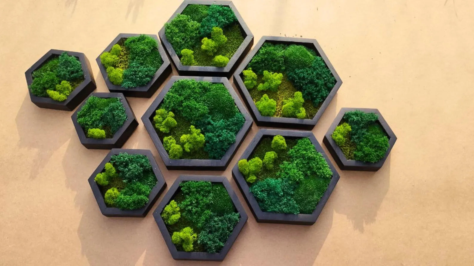 10 Pcs Hexagon Moss Wall Art – White Oak Wood Frames | Green Wall Decor & Gift Idea