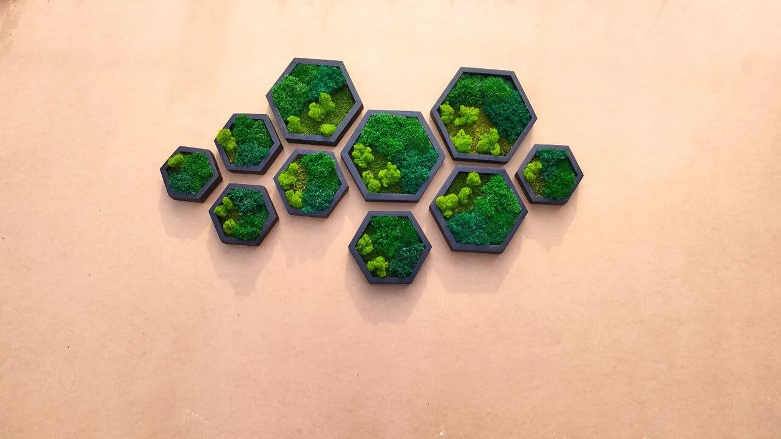 10 Pcs Hexagon Moss Wall Art – White Oak Wood Frames | Green Wall Decor & Gift Idea