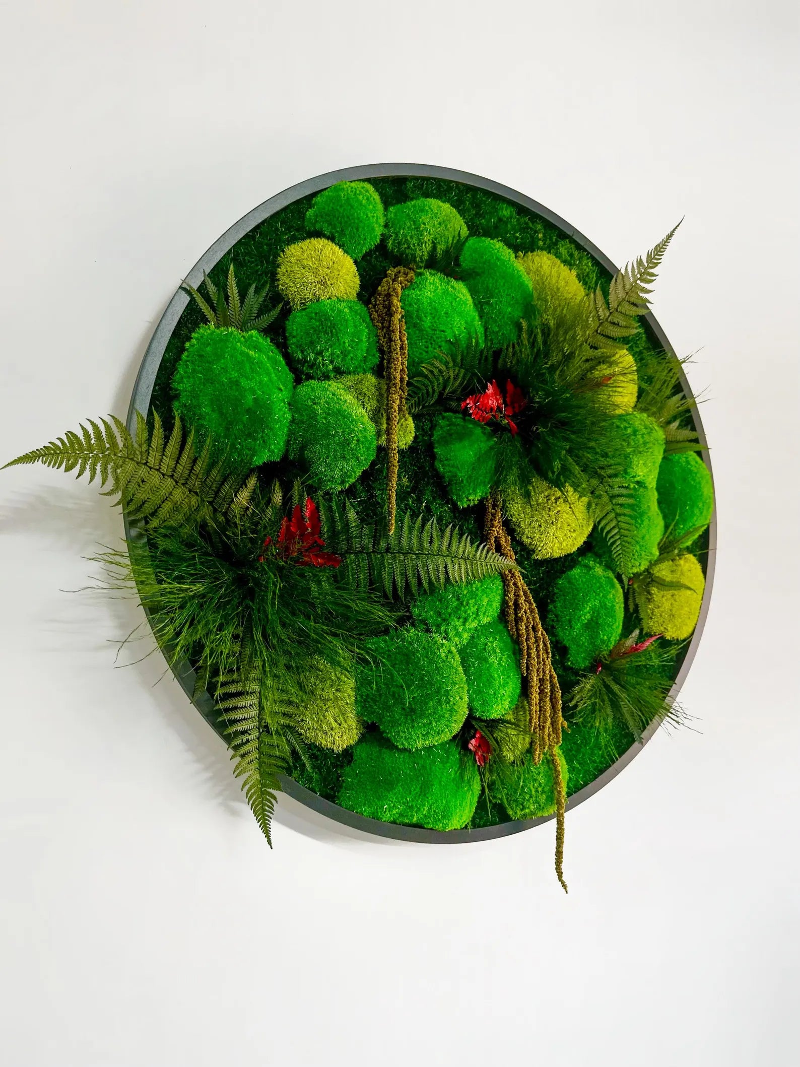 Extra Large Round Moss Wall Art with LED – Circle Framed Green Wall Decor, New Home Gift