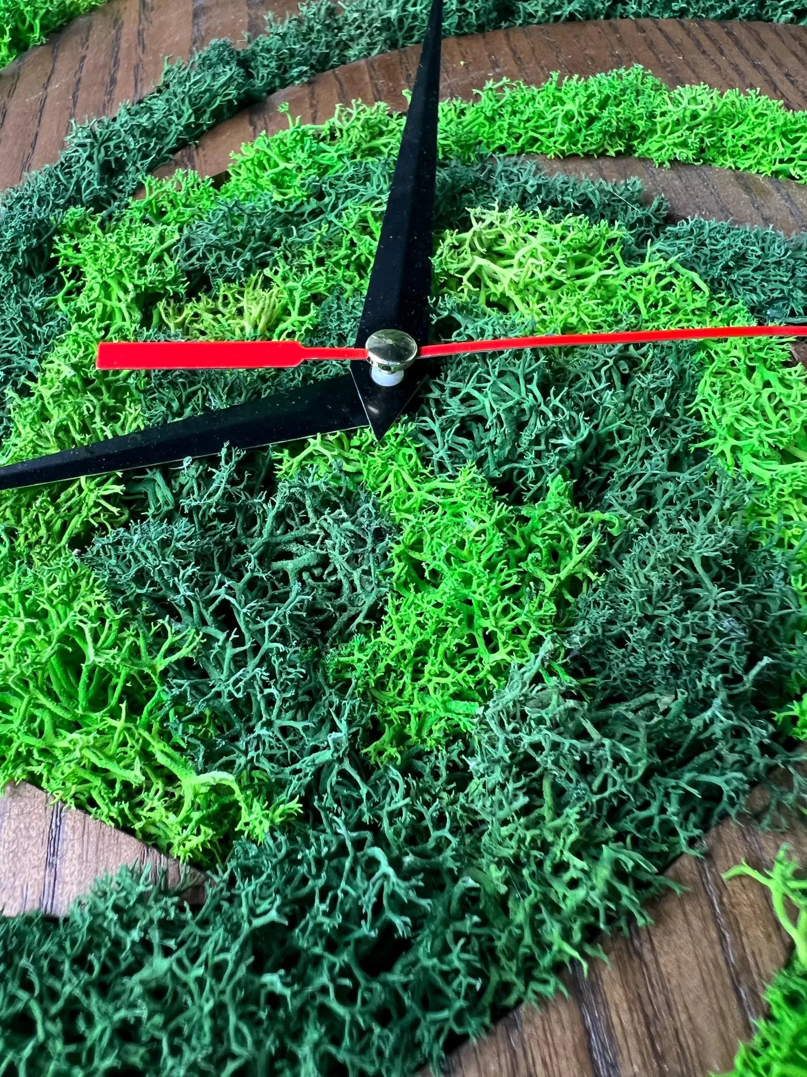 Preserved Moss Wall Clock – Unique Moss Wall Art & Natural Home Decor