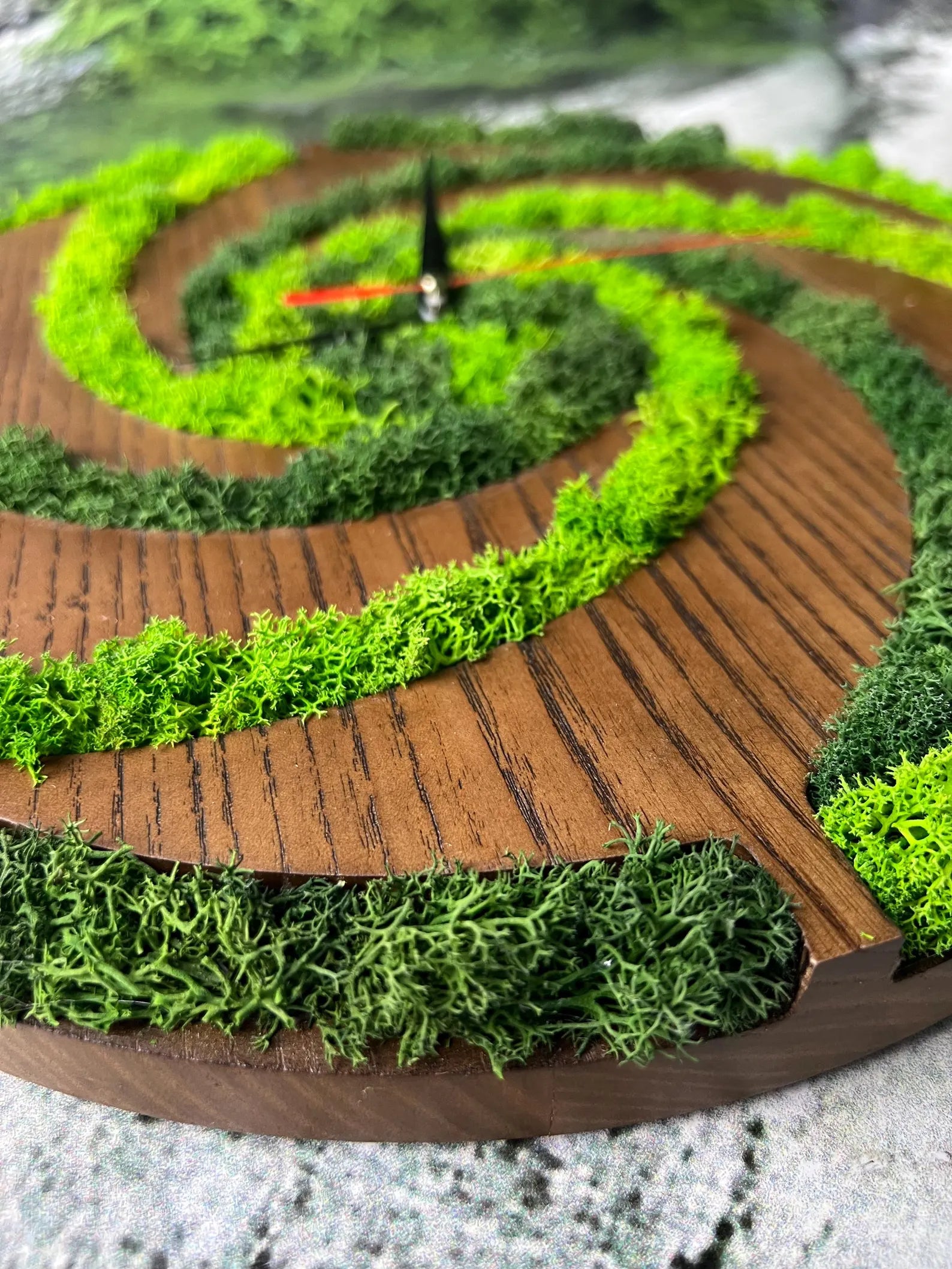 Preserved Moss Wall Clock – Unique Moss Wall Art & Natural Home Decor