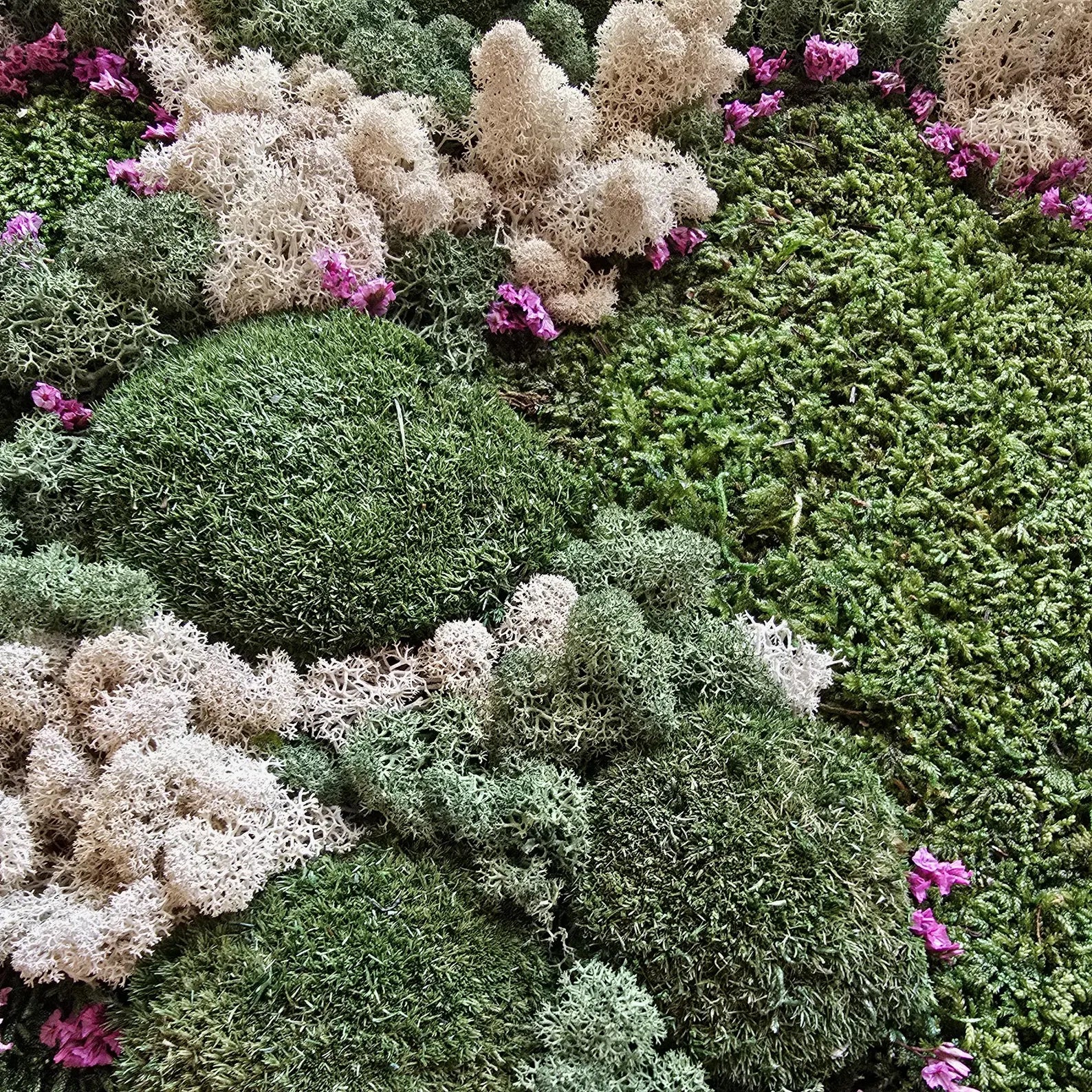 Preserved Moss Wall Art Panel – Reindeer, Flat & Ball Moss | Handmade Biophilic Green Wall Decor