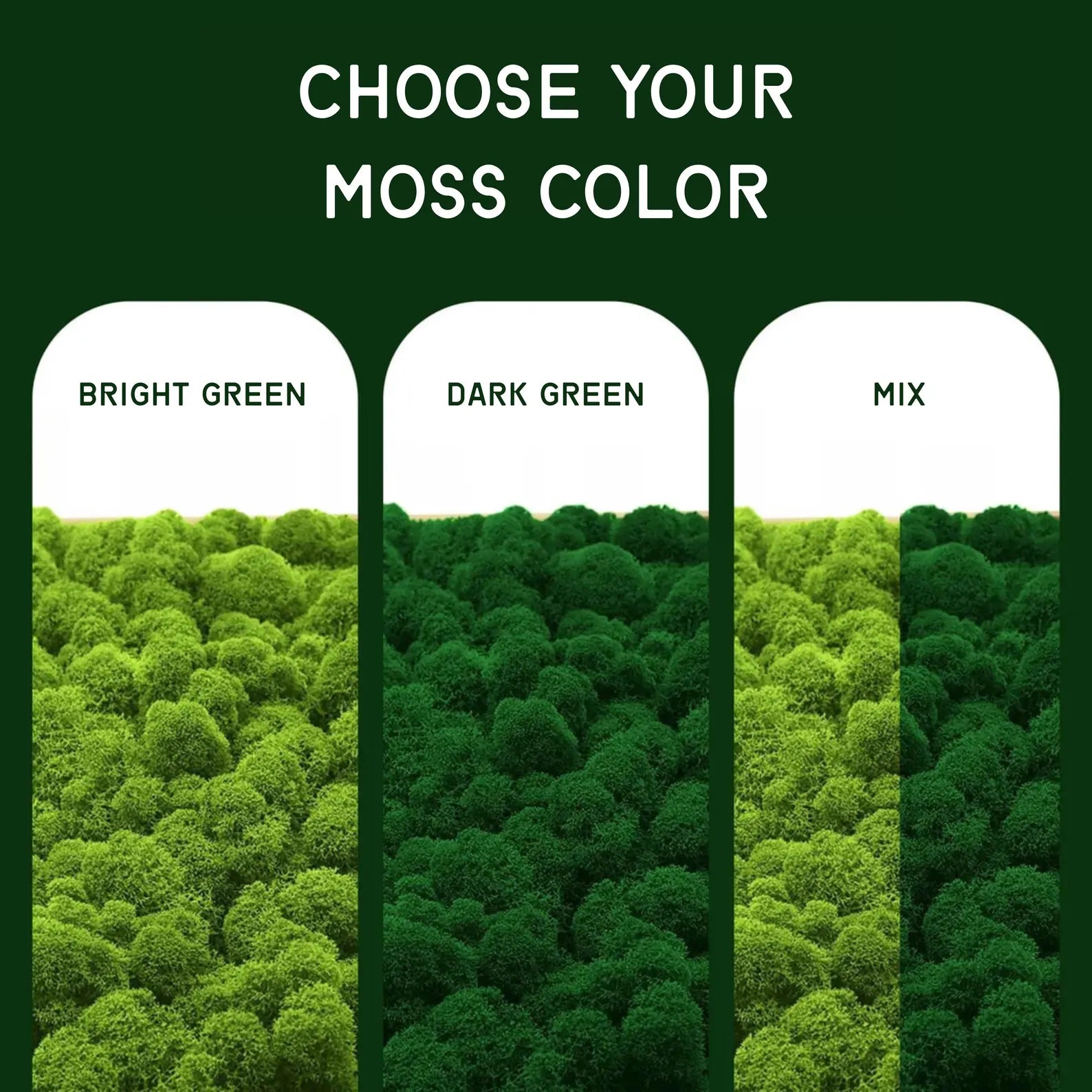 Unique Moss Wall Art with Light – Nature Decor for Living Room or Bedroom – Wooden Panel Modern Design