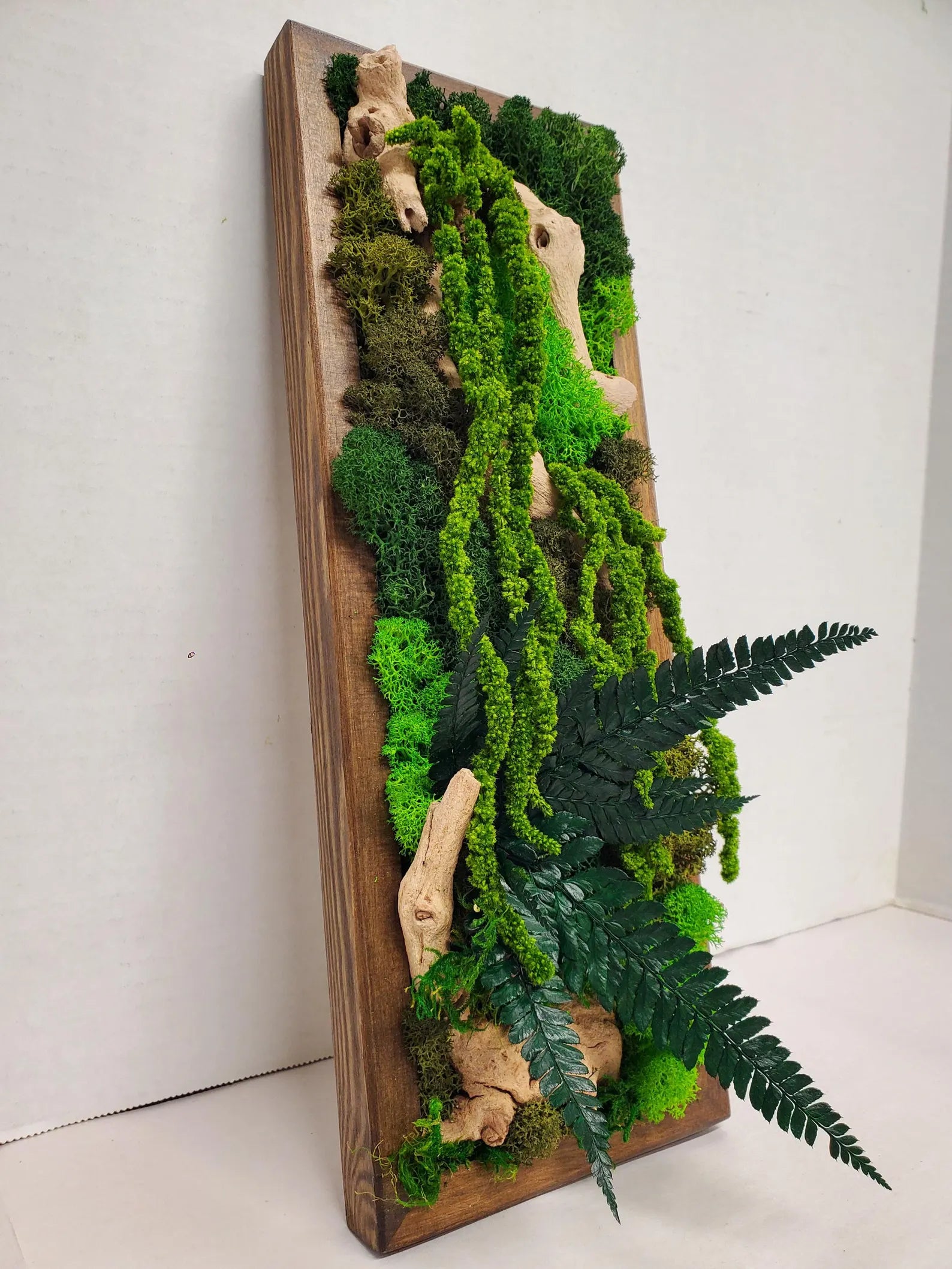 Boho Botanical Moss Wall Art – Natural Framed Hanging Display