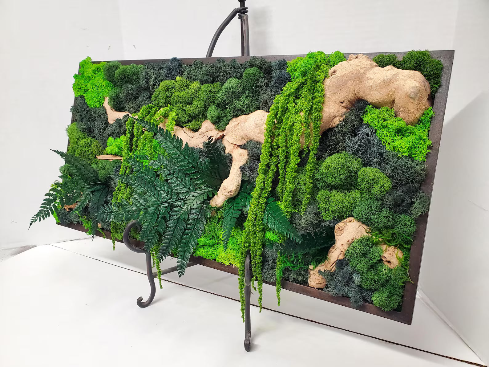 Moss Wall Decor – Driftwood Botanical Frame, Jungle & Cottagecore Art