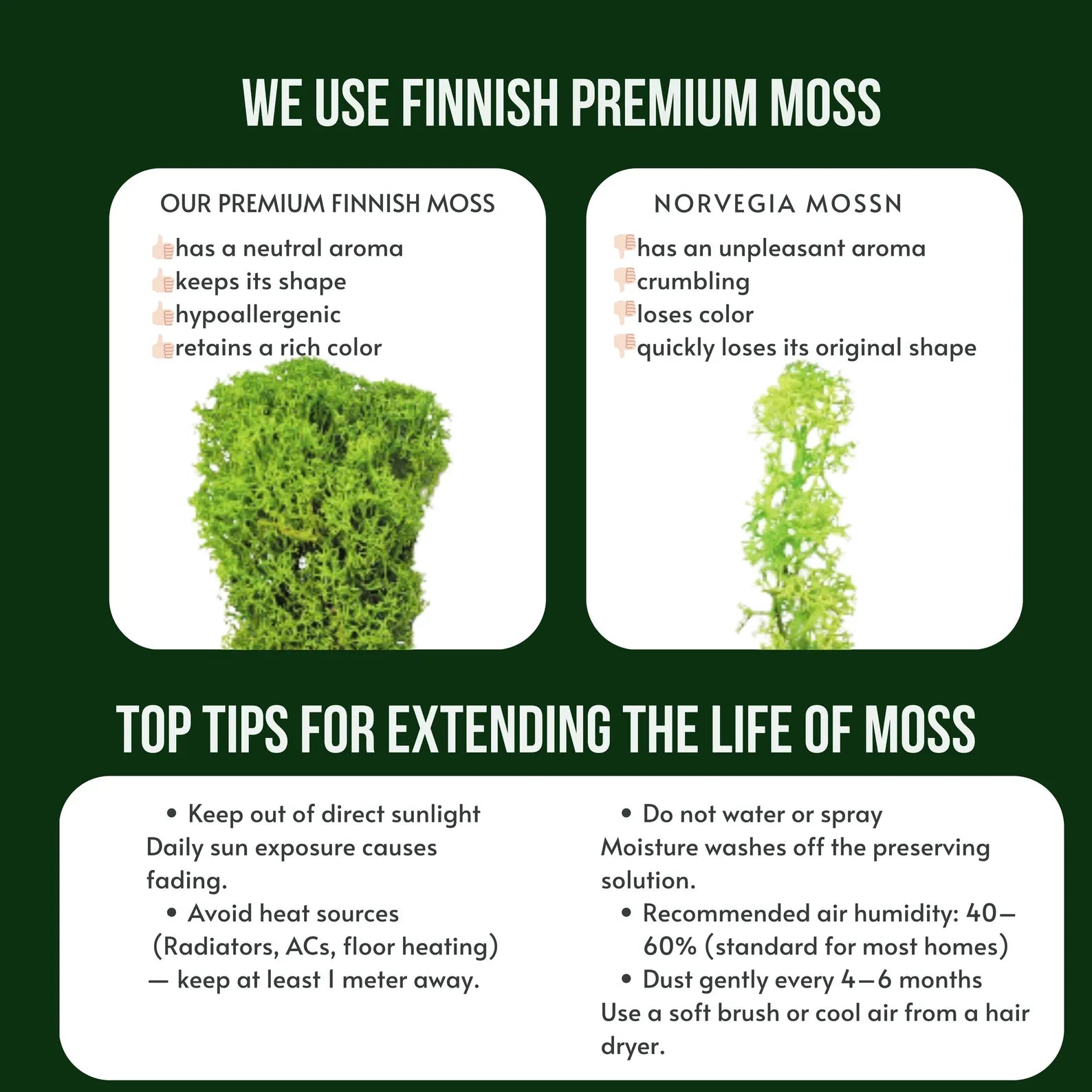 Moss Wall Clock – Handmade Wooden Clock with Real Preserved Moss – Unique Nature Wall Decor & Gift