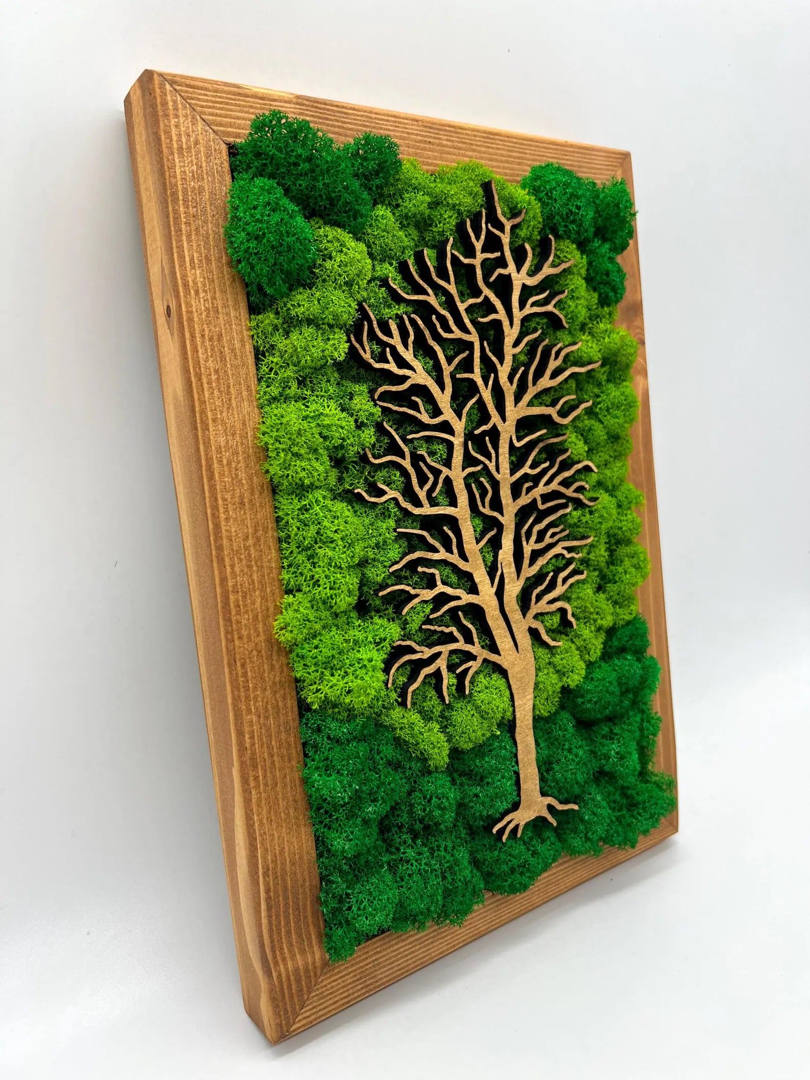 Walnut Frame Moss Wall Art – Tree Design Green Decoration
