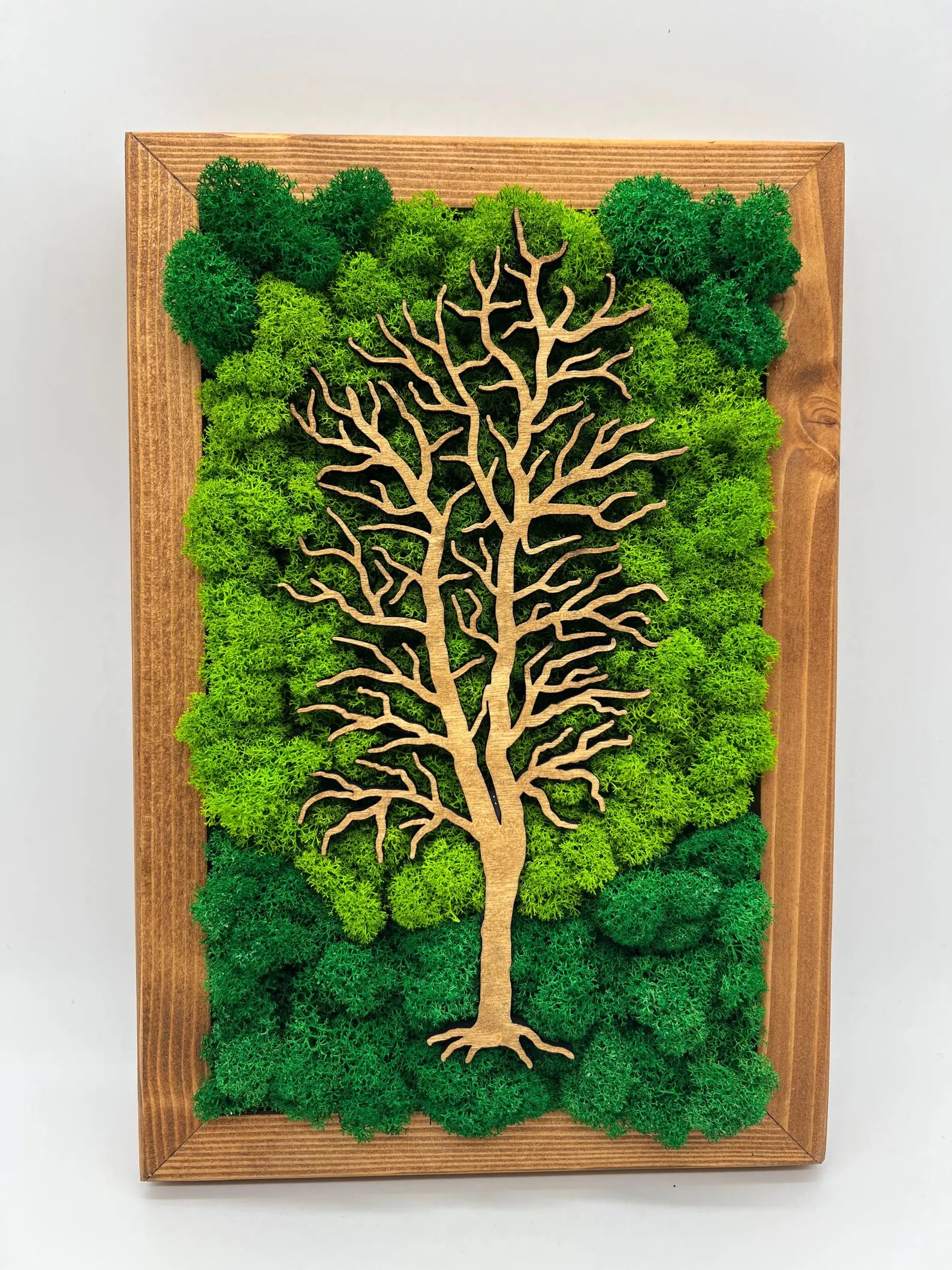 Walnut Frame Moss Wall Art – Tree Design Green Decoration
