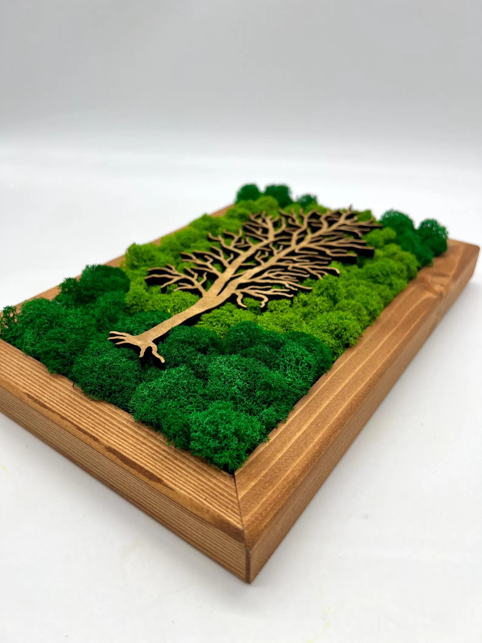 Walnut Frame Moss Wall Art – Tree Design Green Decoration