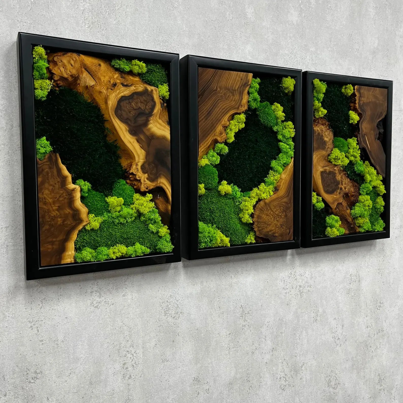 3-Piece Moss Wall Art Set | Handmade Olive & Silverberry Wood Decor | Live Edge Preserved Moss Artwork