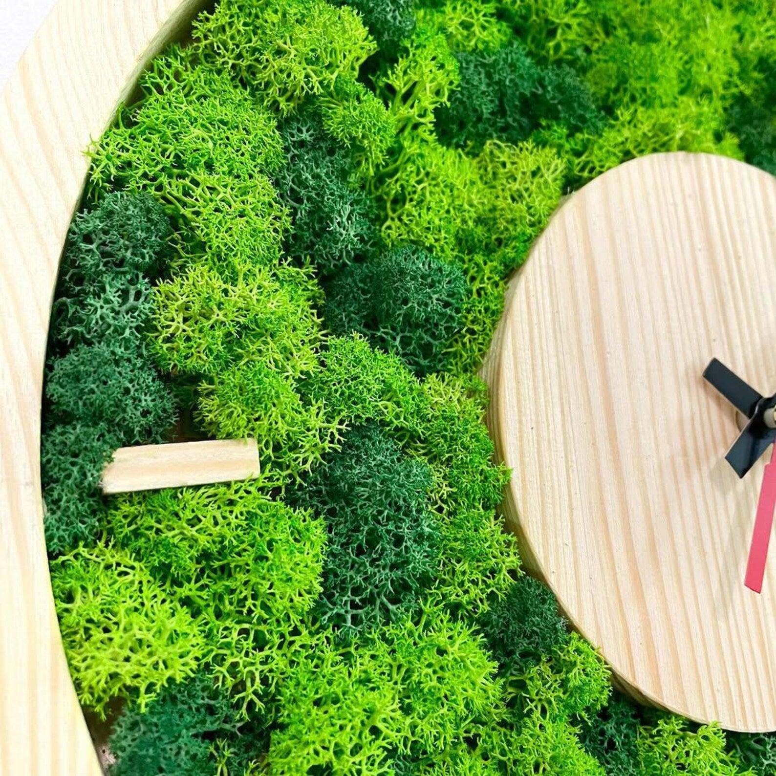 Real Moss Wall Clock – Silent Wooden Design, Unique Eco-Friendly Home Decoration