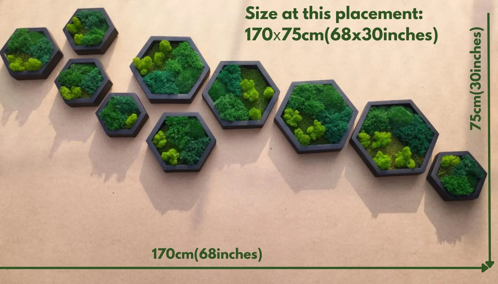 10 Pcs Hexagon Moss Wall Art – White Oak Wood Frames | Green Wall Decor & Gift Idea