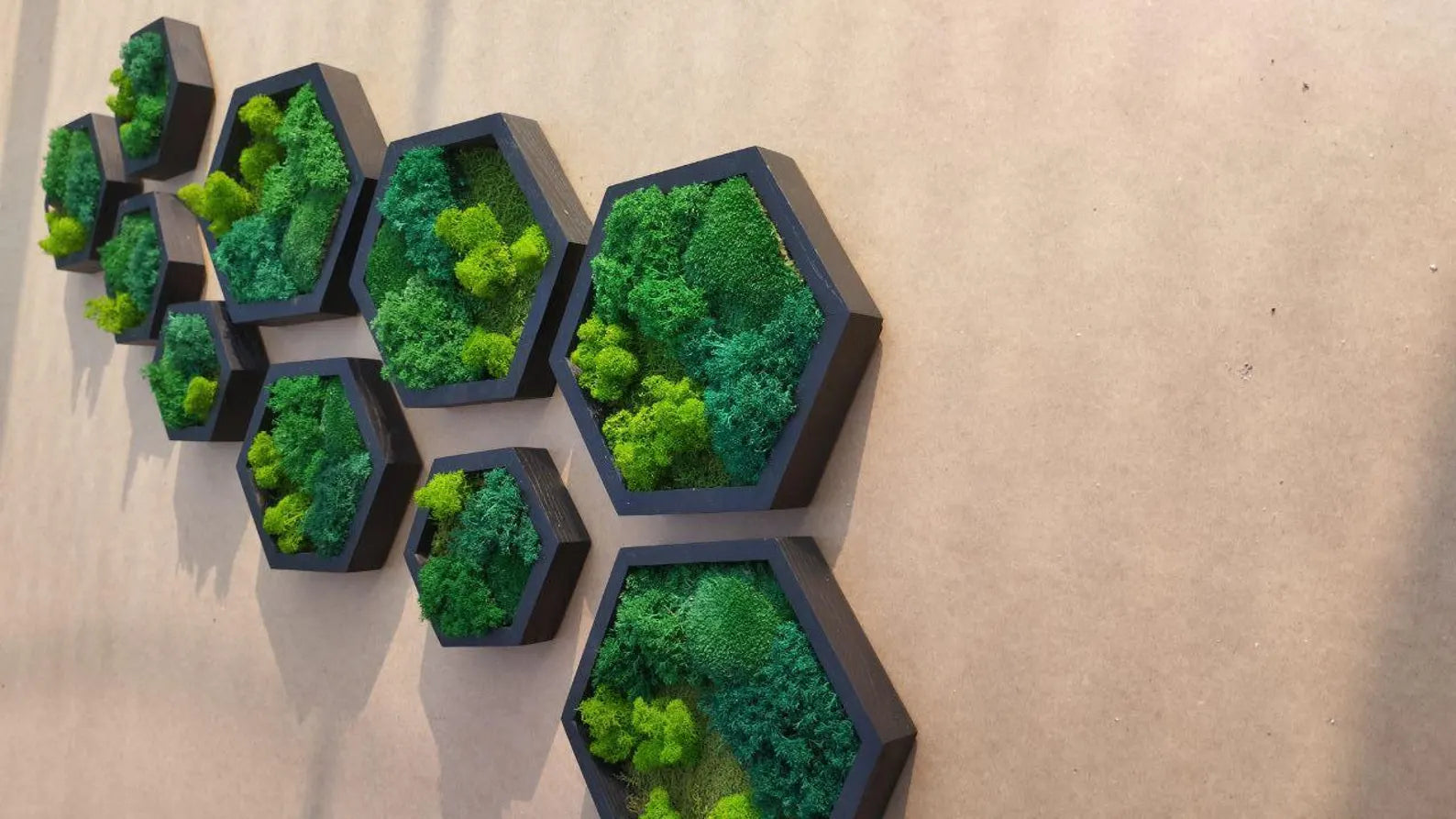 10 Pcs Hexagon Moss Wall Art – White Oak Wood Frames | Green Wall Decor & Gift Idea