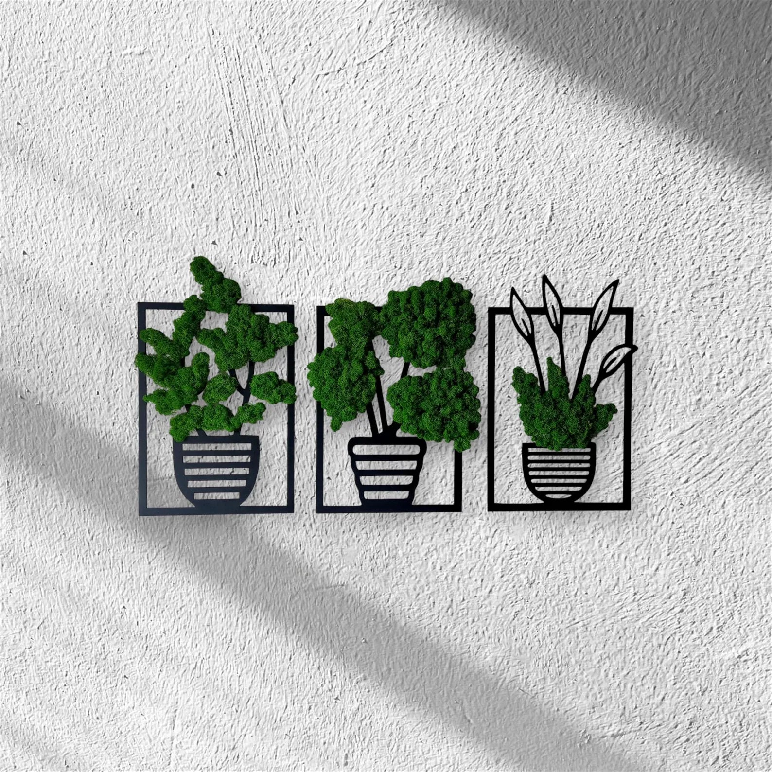 Moss Wall Art in Wooden Frame – Natural Green Decor for Living Space