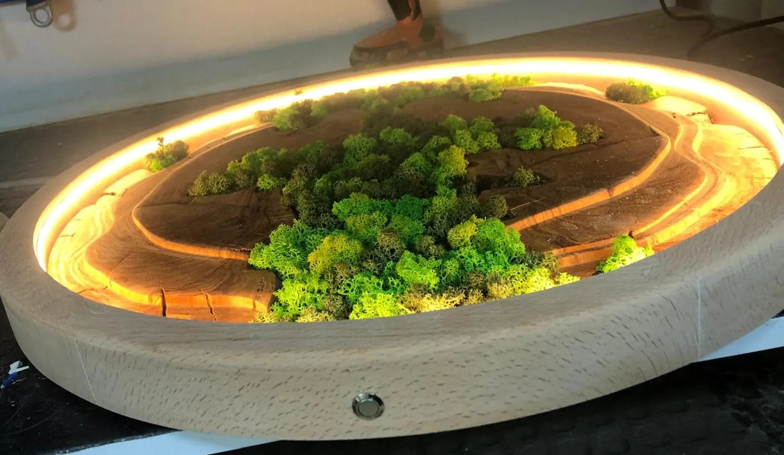 Handmade Moss Wall Decor: Wooden Wall Art for a Natural Living Room