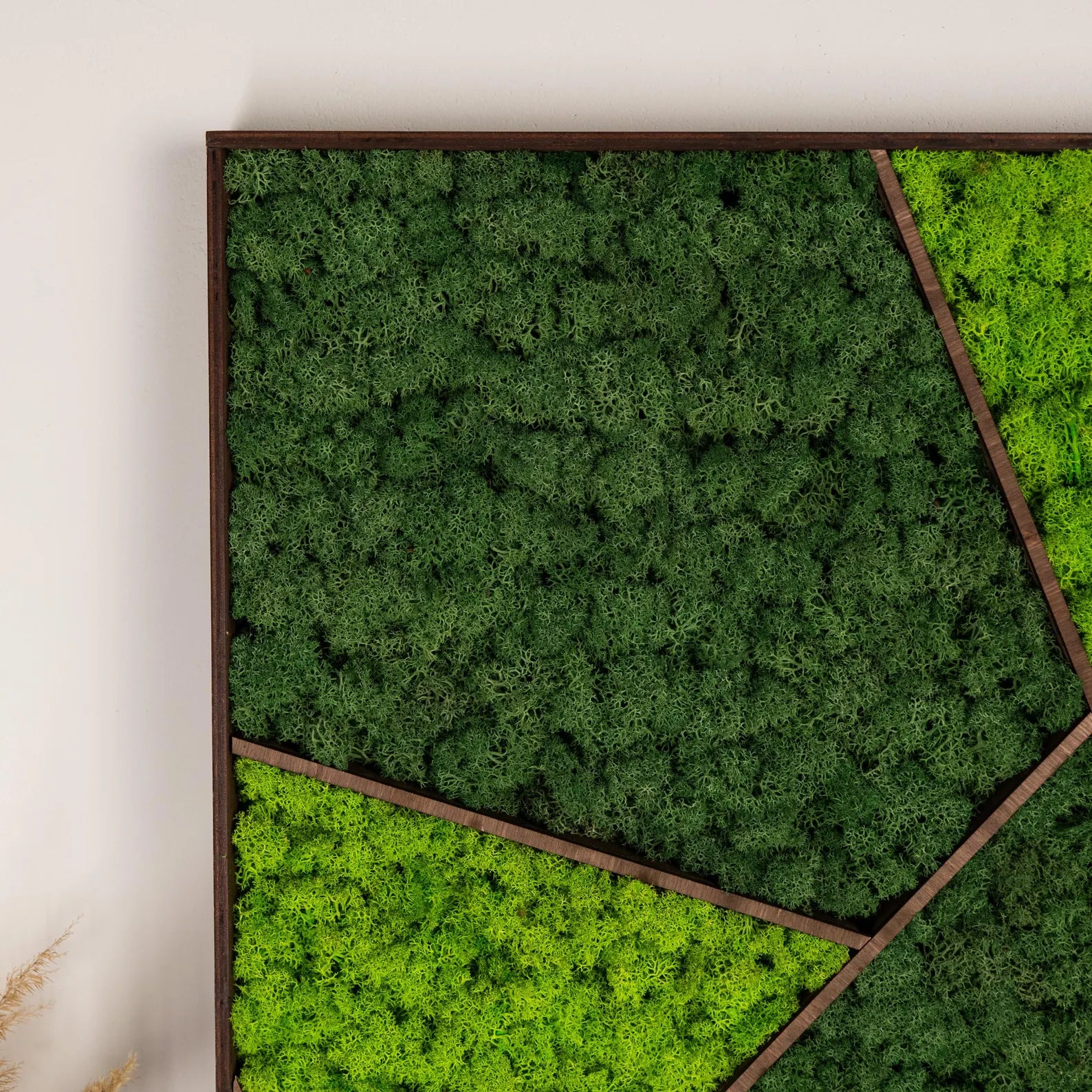 Large Moss Wall Art β Real Preserved Moss in Wooden Frame, Unique Nature Wall Decor, New Home Gift