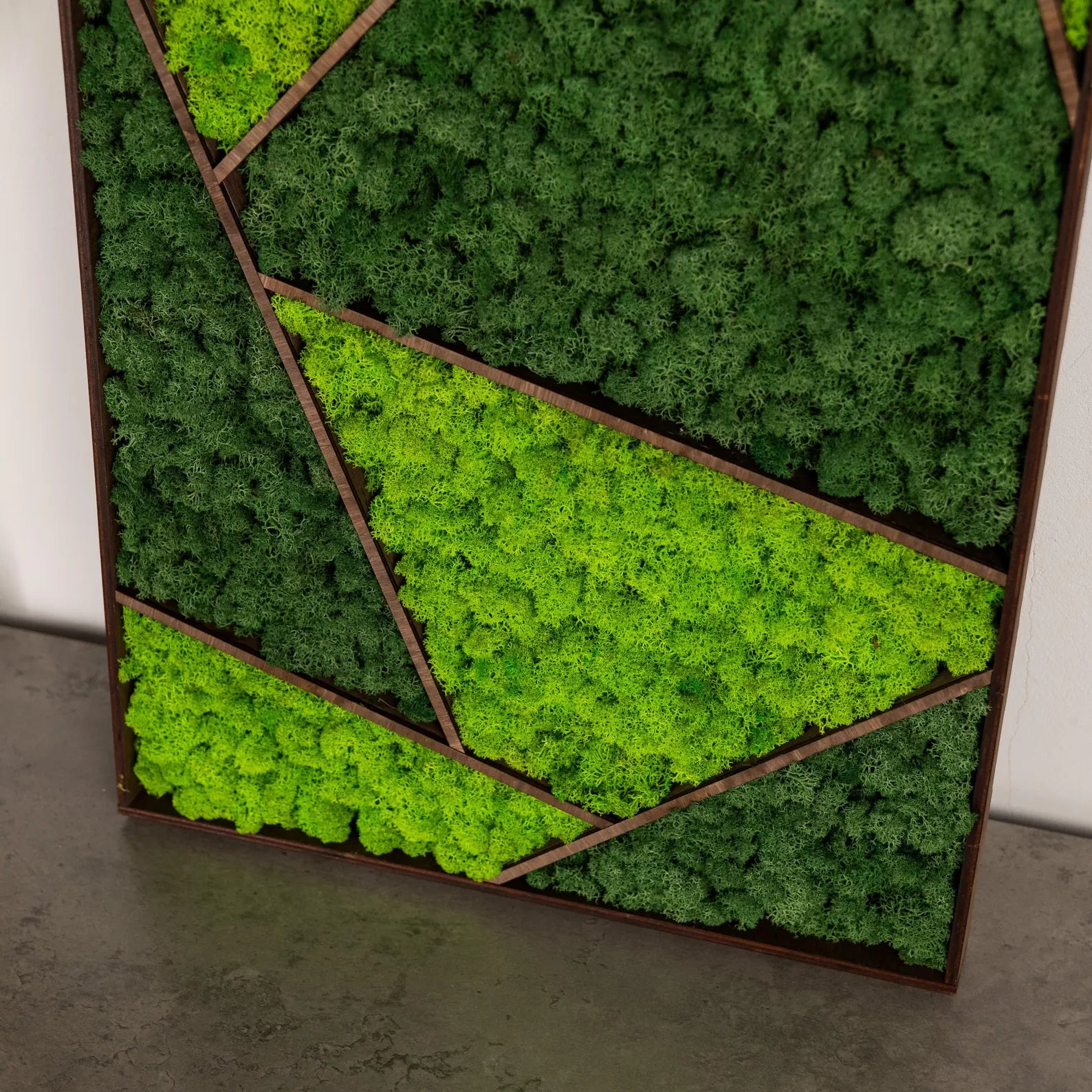 Large Moss Wall Art β Real Preserved Moss in Wooden Frame, Unique Nature Wall Decor, New Home Gift