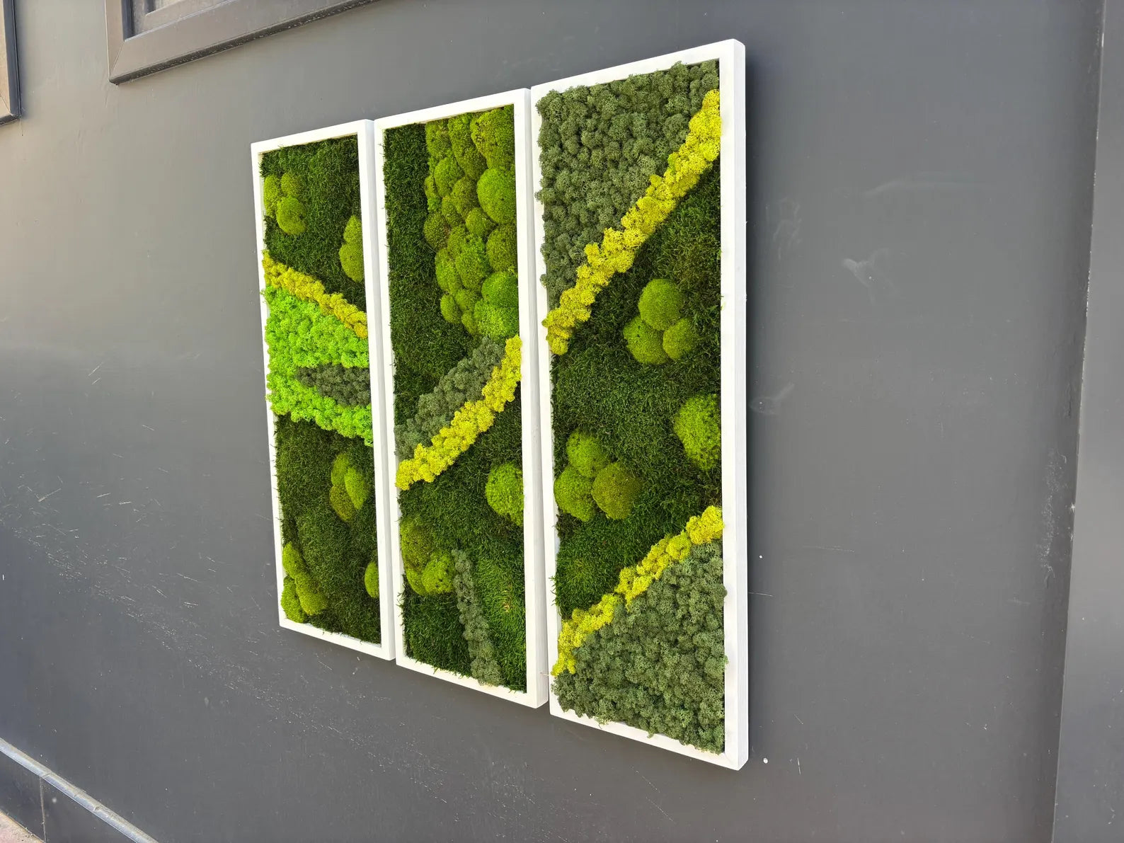 Natural Preserved Moss Wall Art – Green Office & Workplace Decor