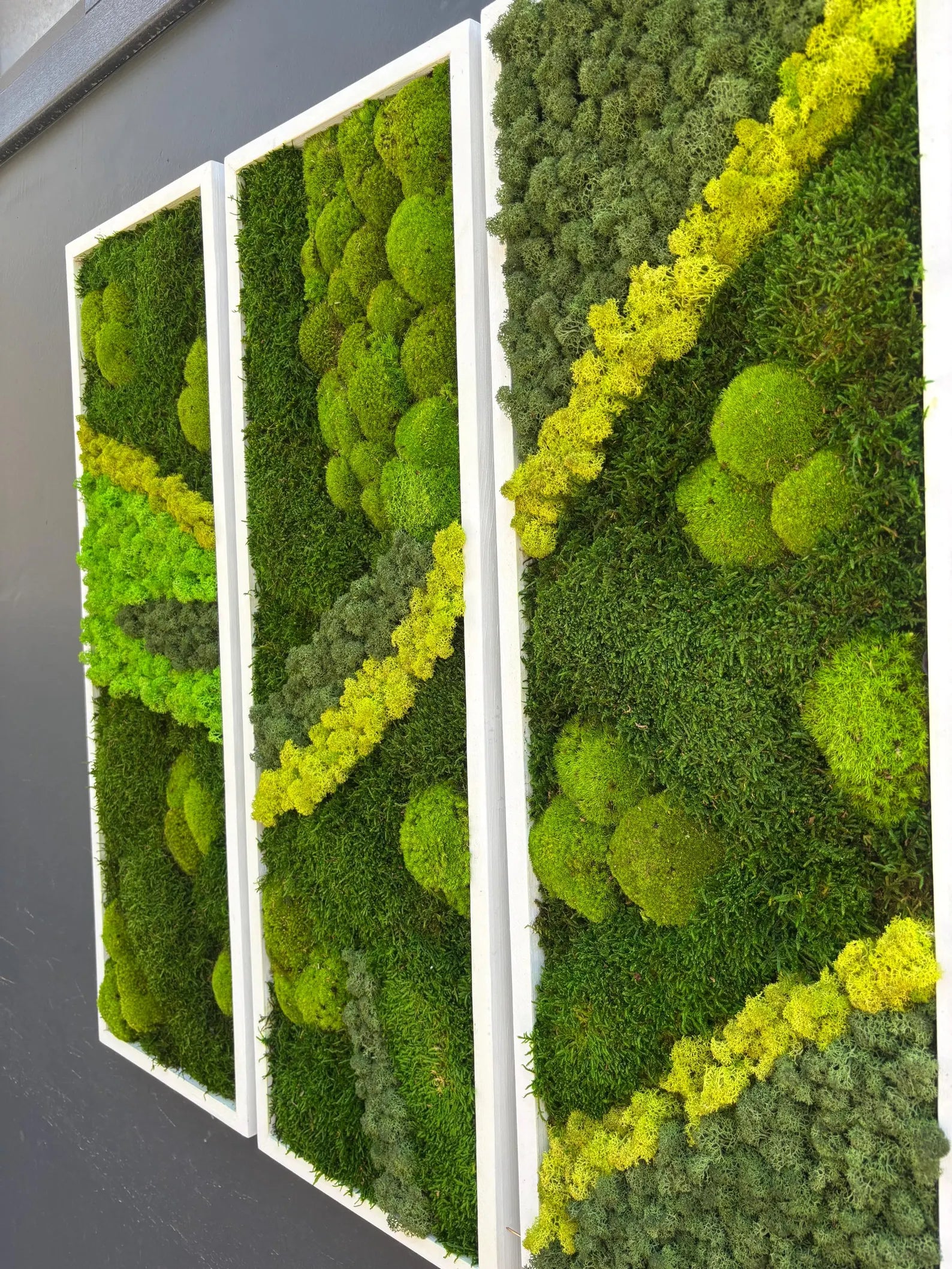 Natural Preserved Moss Wall Art – Green Office & Workplace Decor