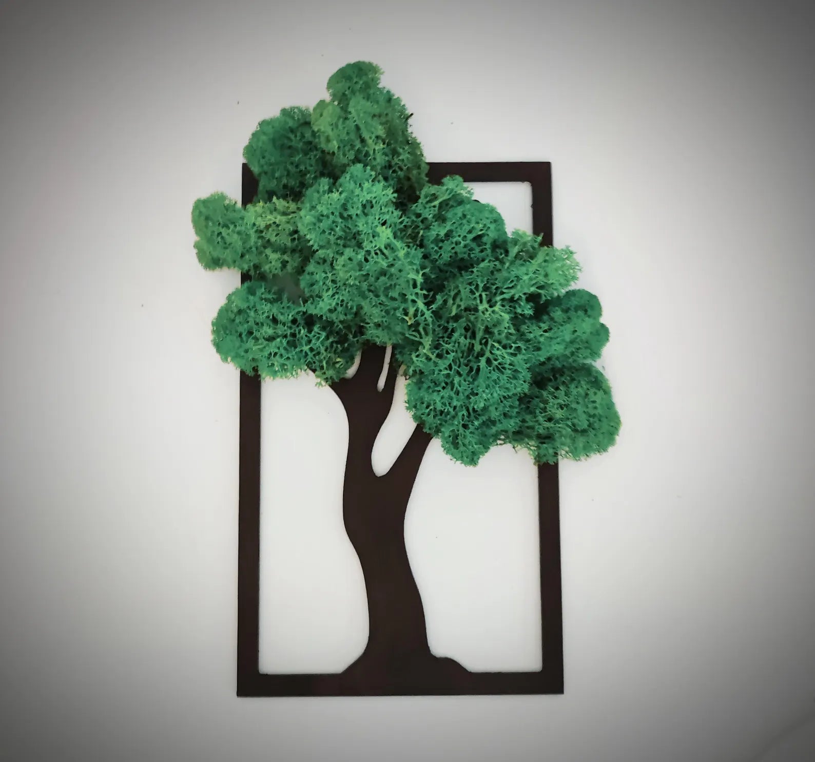 Framed Moss Art Wall Decor – Preserved Reindeer Moss Home Accent Gift