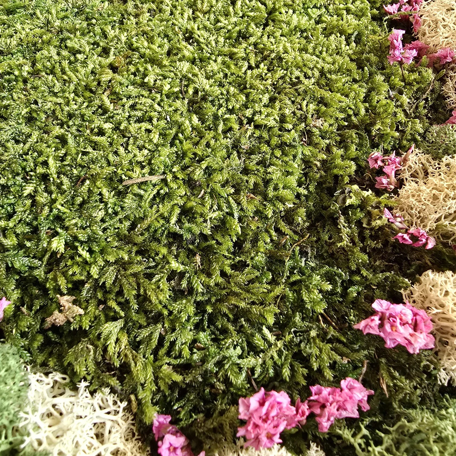 Preserved Moss Wall Art Panel – Reindeer, Flat & Ball Moss | Handmade Biophilic Green Wall Decor