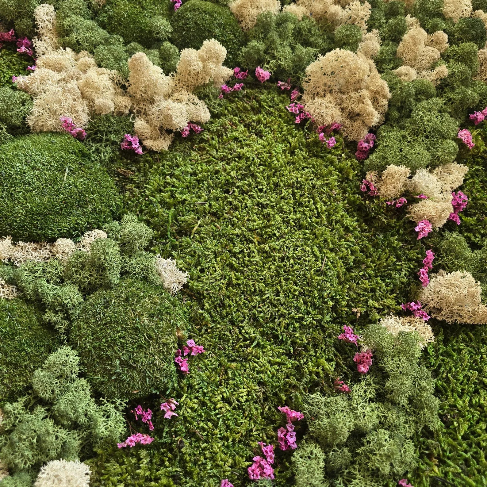 Preserved Moss Wall Art Panel – Reindeer, Flat & Ball Moss | Handmade Biophilic Green Wall Decor