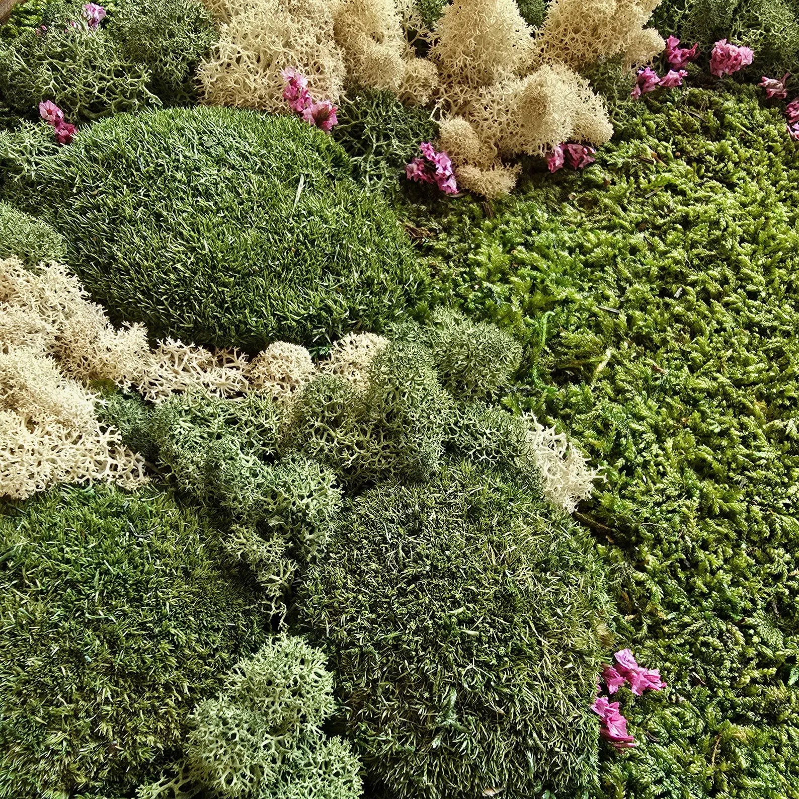 Preserved Moss Wall Art Panel – Reindeer, Flat & Ball Moss | Handmade Biophilic Green Wall Decor