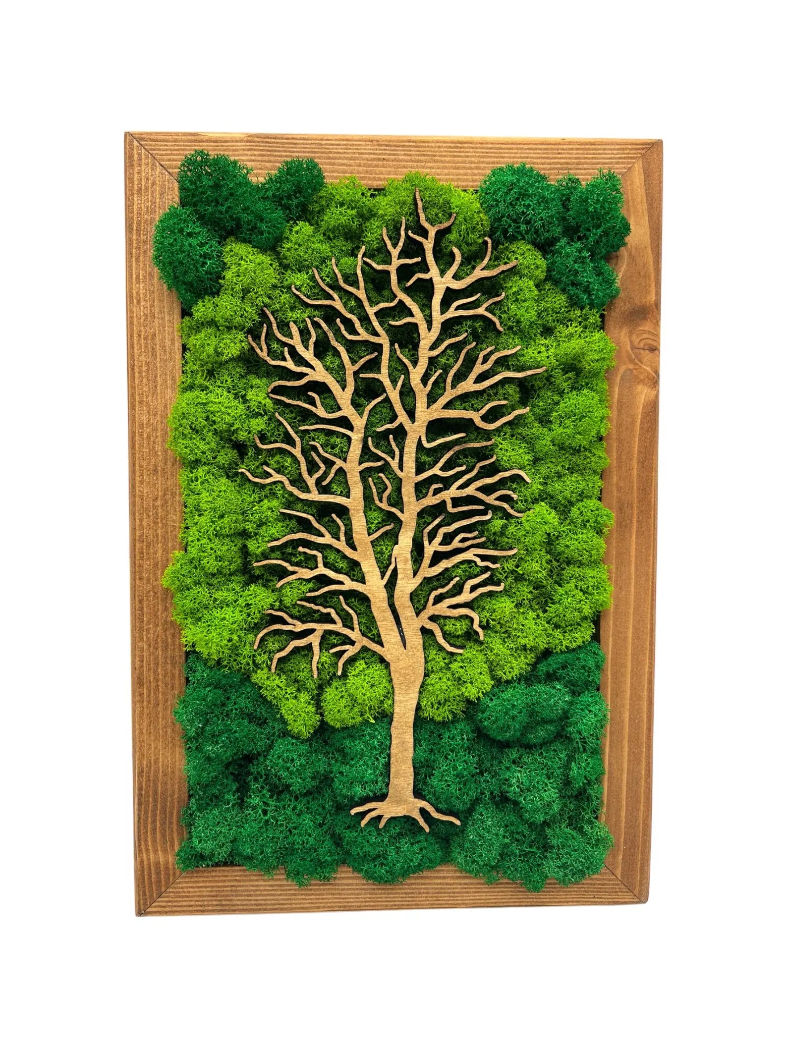 Walnut Frame Moss Wall Art – Tree Design Green Decoration