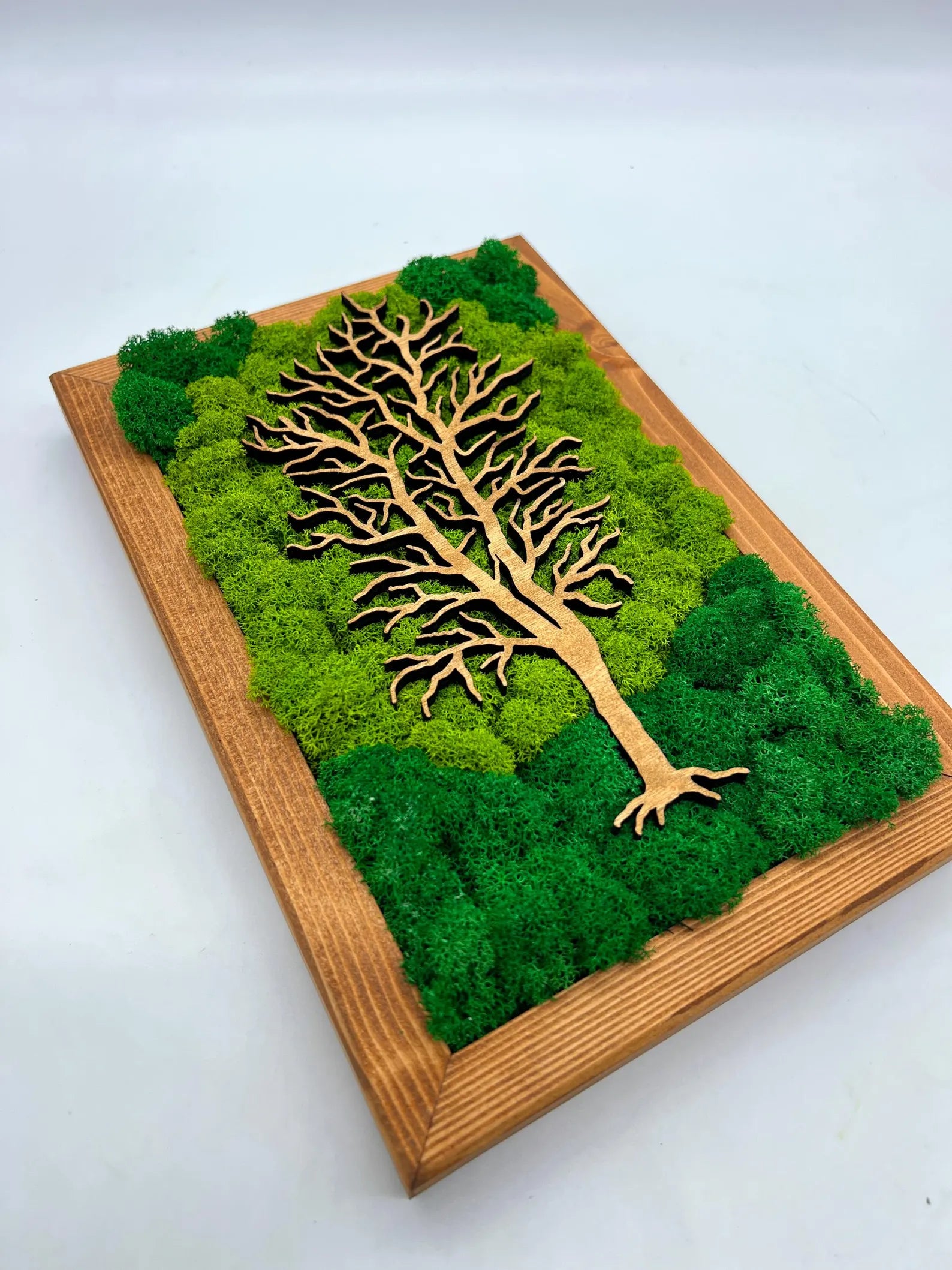Walnut Frame Moss Wall Art – Tree Design Green Decoration