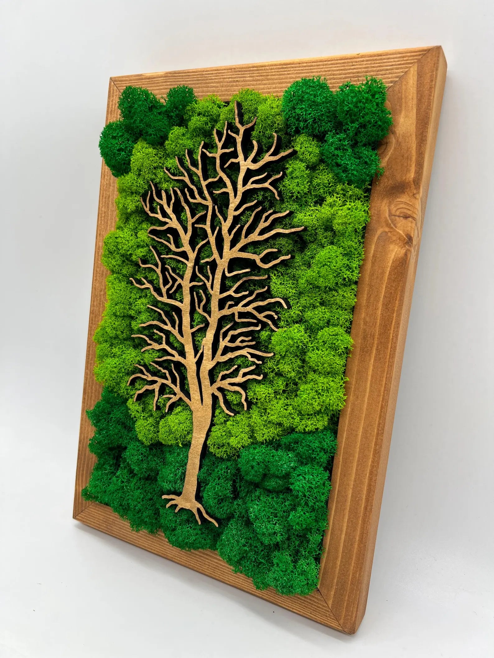 Walnut Frame Moss Wall Art – Tree Design Green Decoration