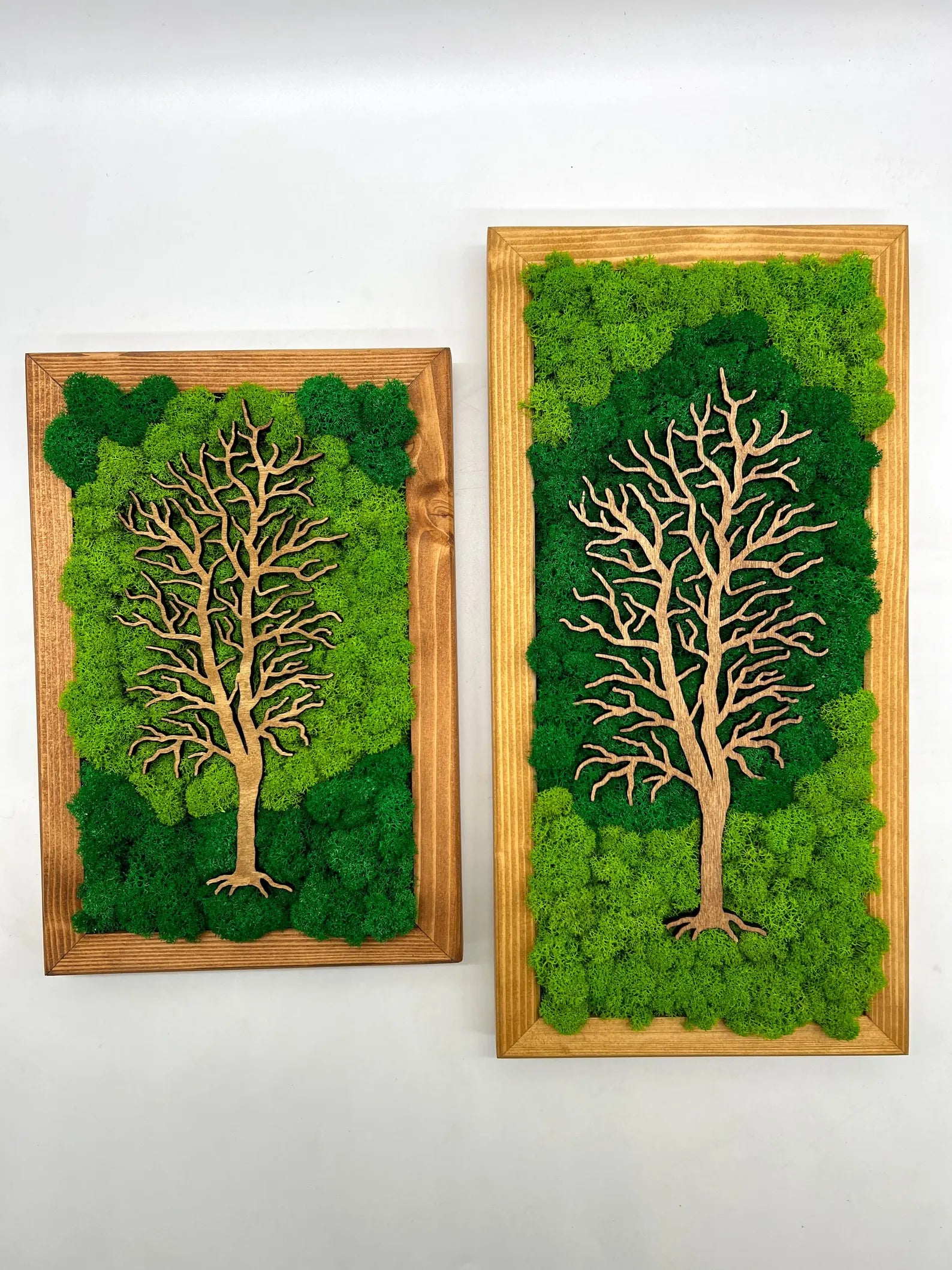 Walnut Frame Moss Wall Art – Tree Design Green Decoration